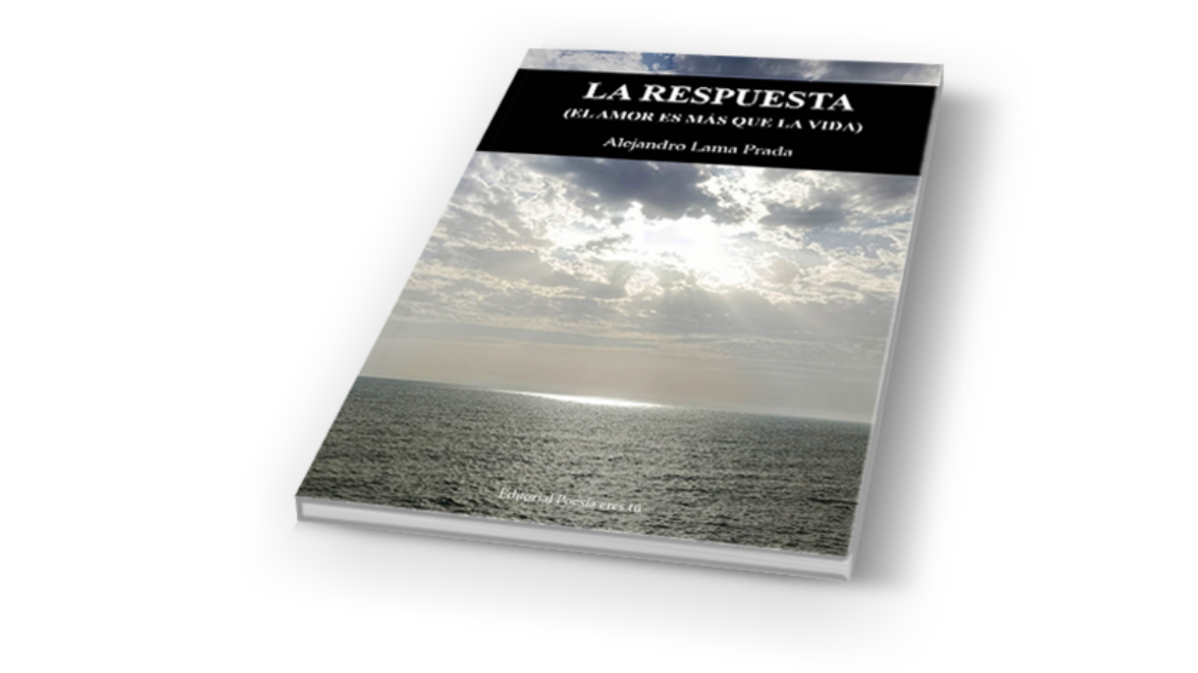 book4