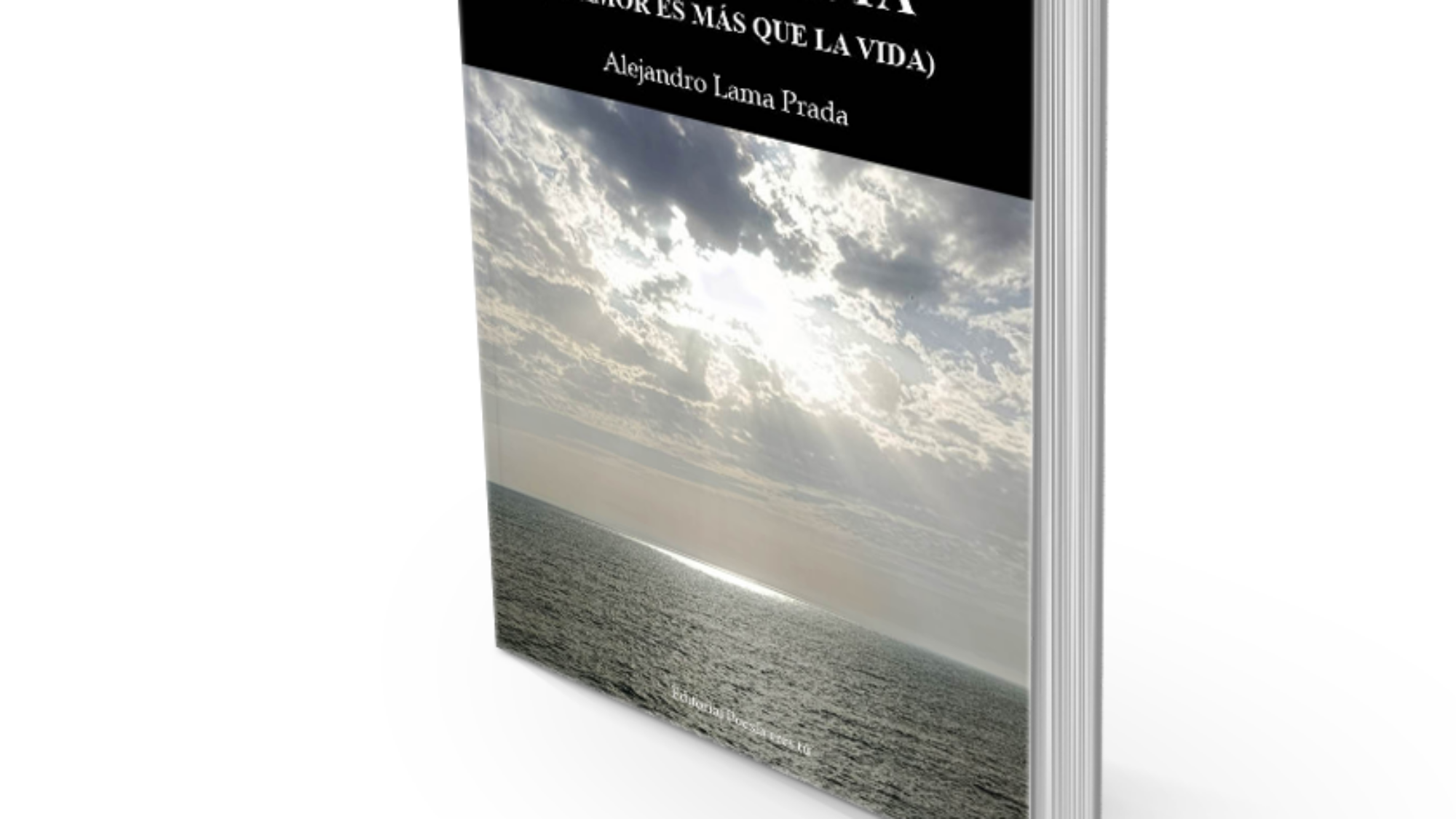 book5