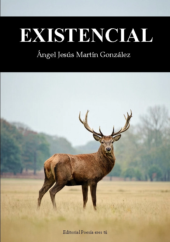 0_Portada__Existencial