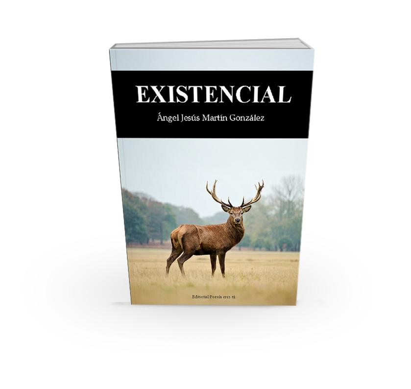 Exploración íntima de la condición humana donde dolor, discapacidad y soledad se vuelven lucidez, compasión y esperanza, hacia una serena reconciliación con los límites de la existencia.