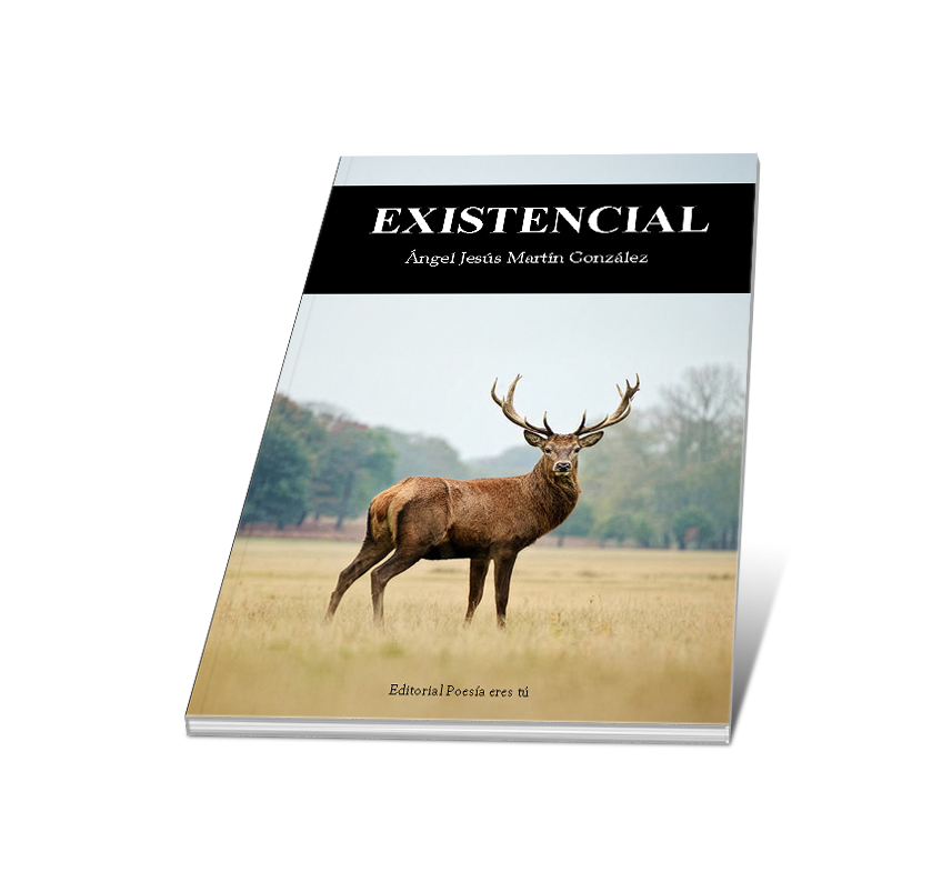 de Claudia Soneira, Ángela. «Artículo de análisis literario y psicología clínica: poesía y psicología del duelo. procesos de elaboración del duelo en