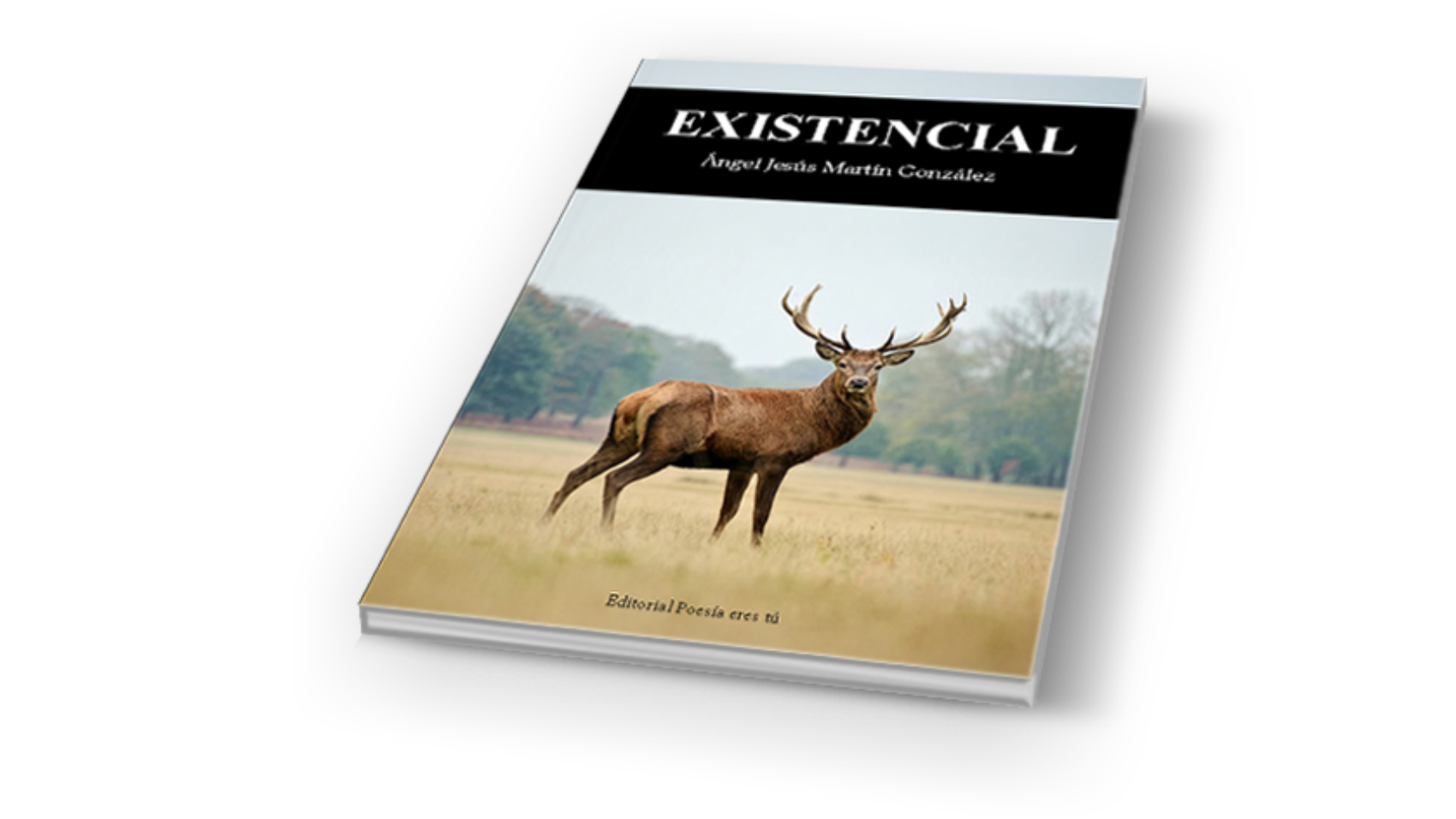book4