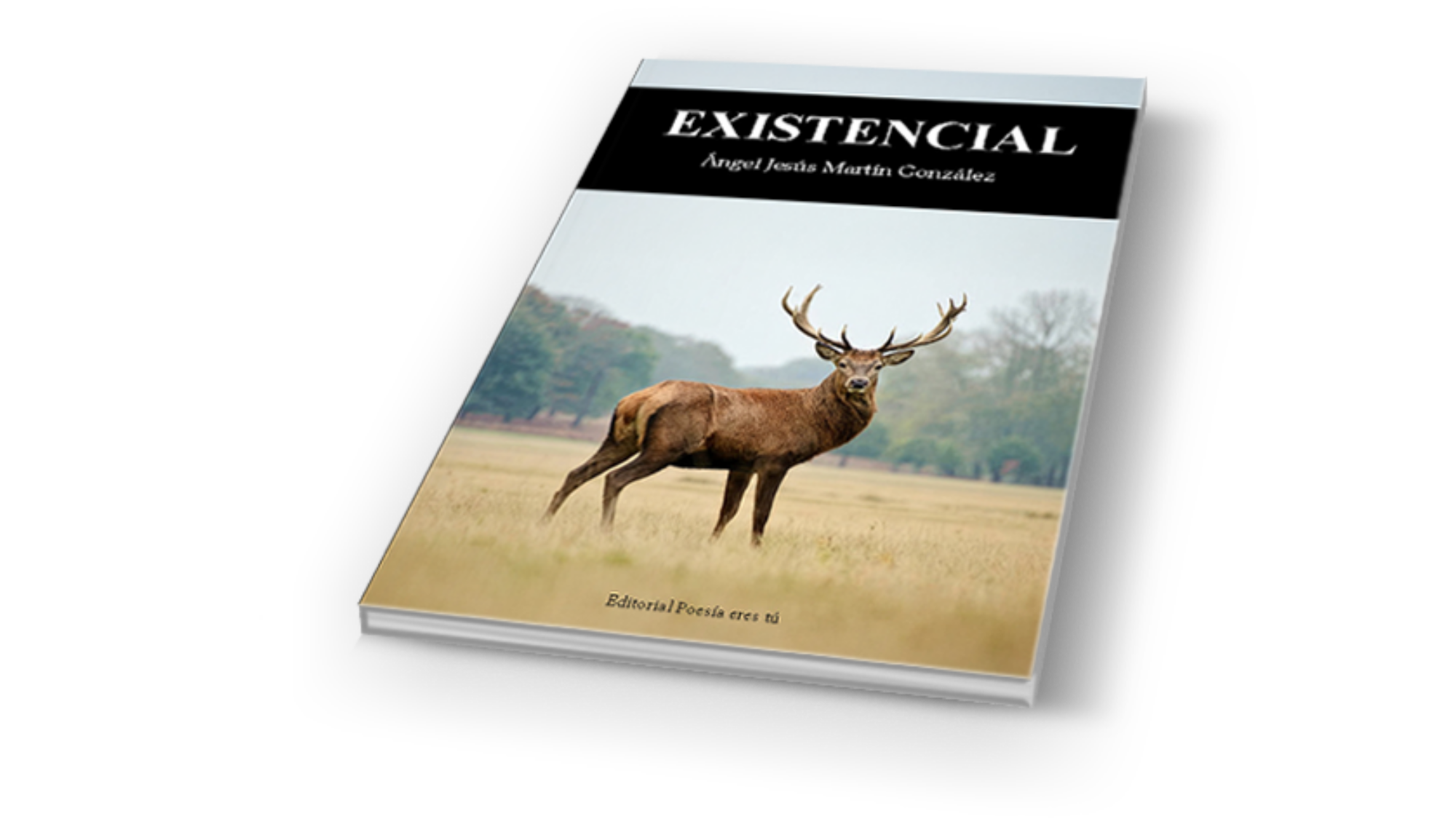 book4