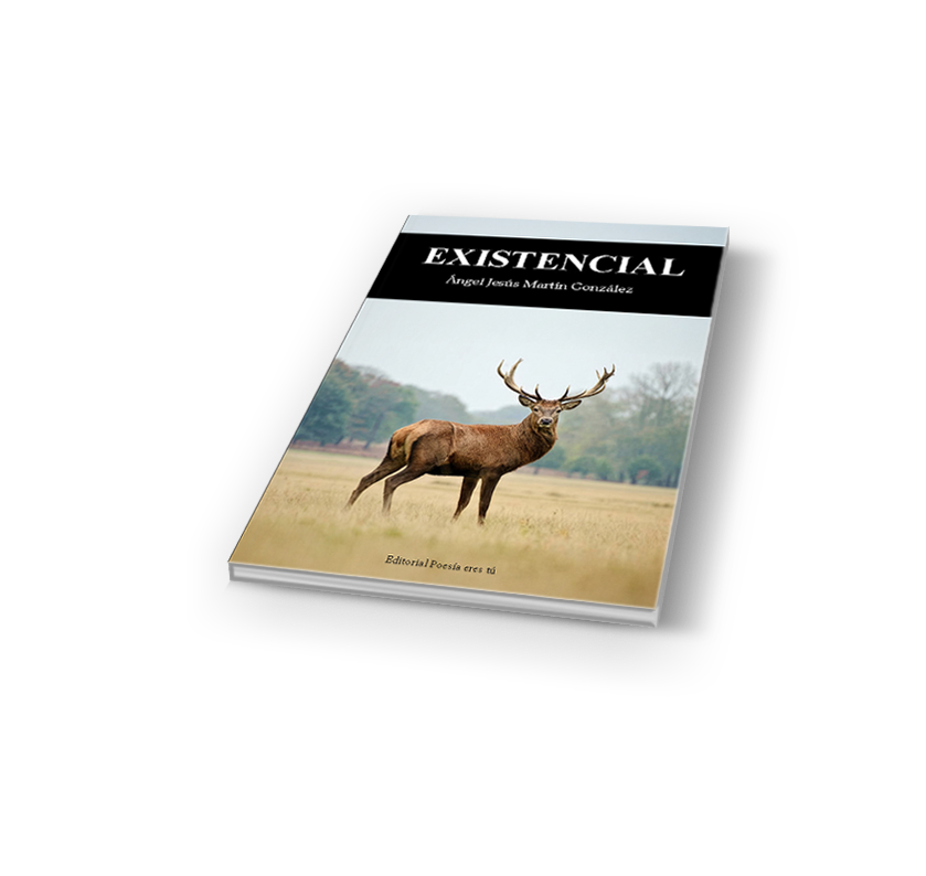 García Pérez-Tomás, Andrés. «Artículo de análisis formal y estilística poética: poética del silencio. espacios en blanco y pausas como estructura significante en