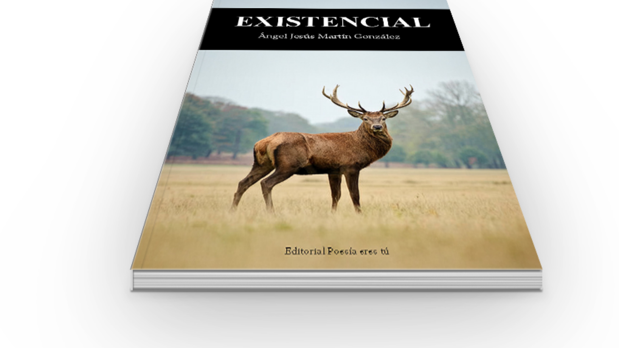 book6