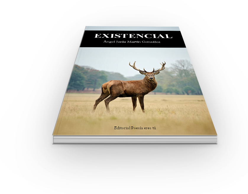 Voz lírica que transforma dolor físico y soledad existencial en poesía de búsqueda, compasión y esperanza, entre la oscuridad y una serena reconciliación con la vida.