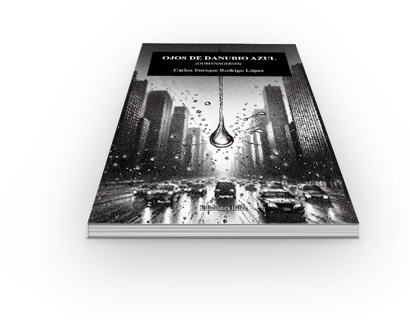 book6