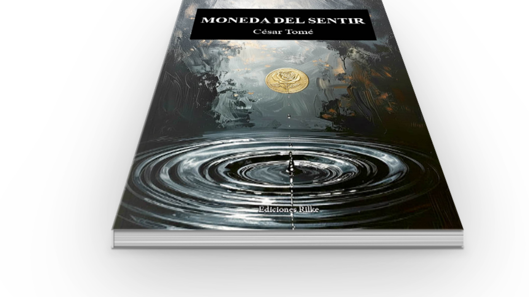 book6