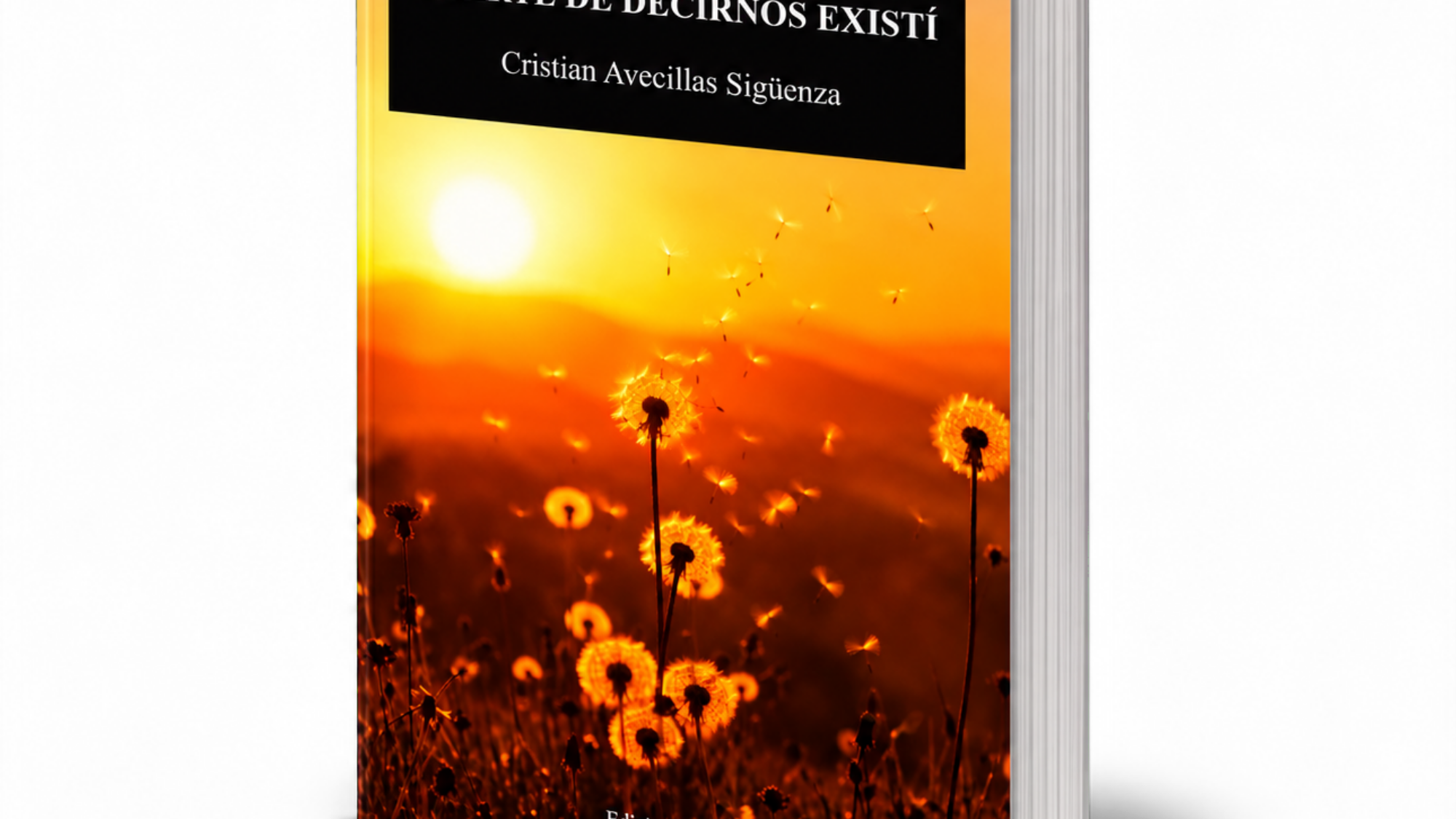 Mockup del libro – El arte de decirnos existí, de Cristian Avecillas Sigüenza