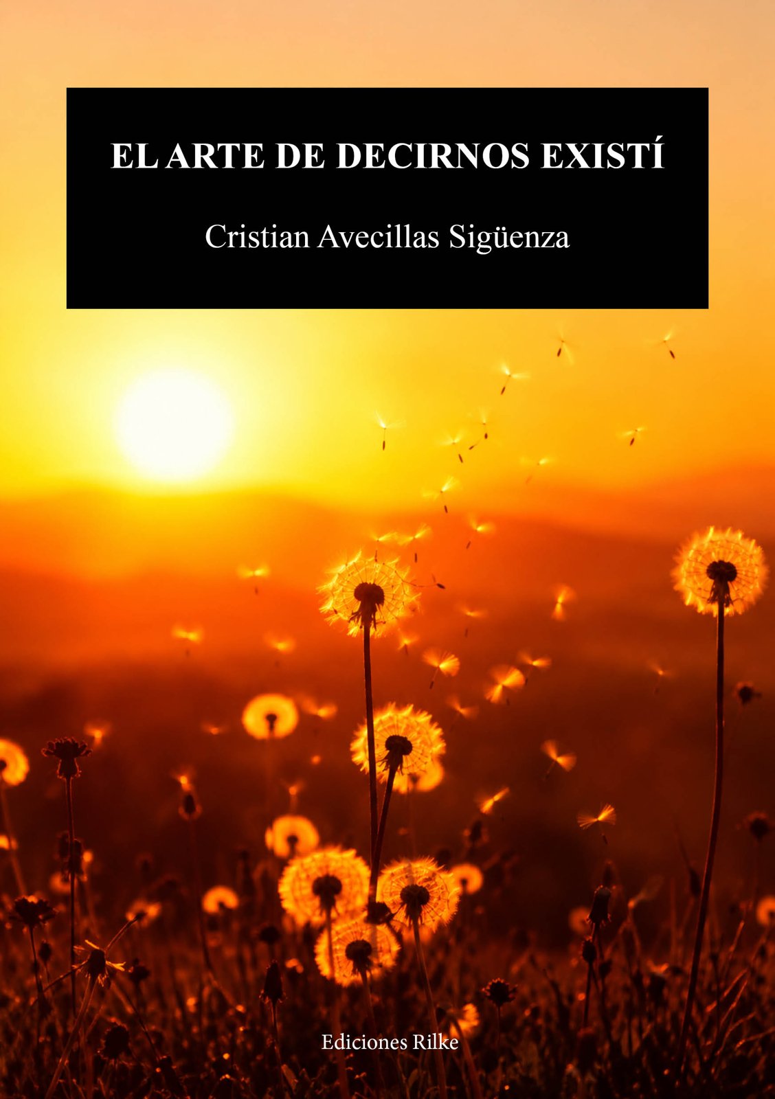 Portada – El arte de decirnos existí, de Cristian Avecillas Sigüenza