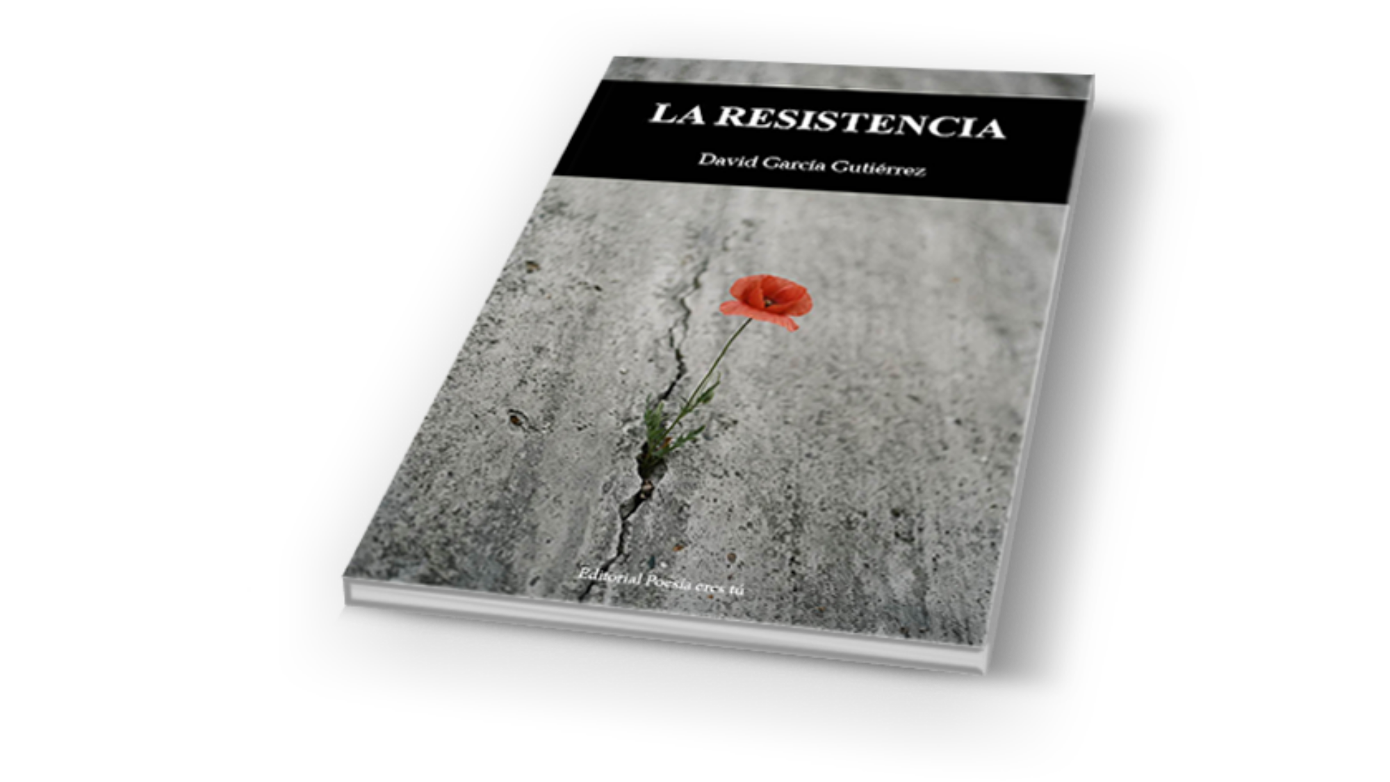 book4