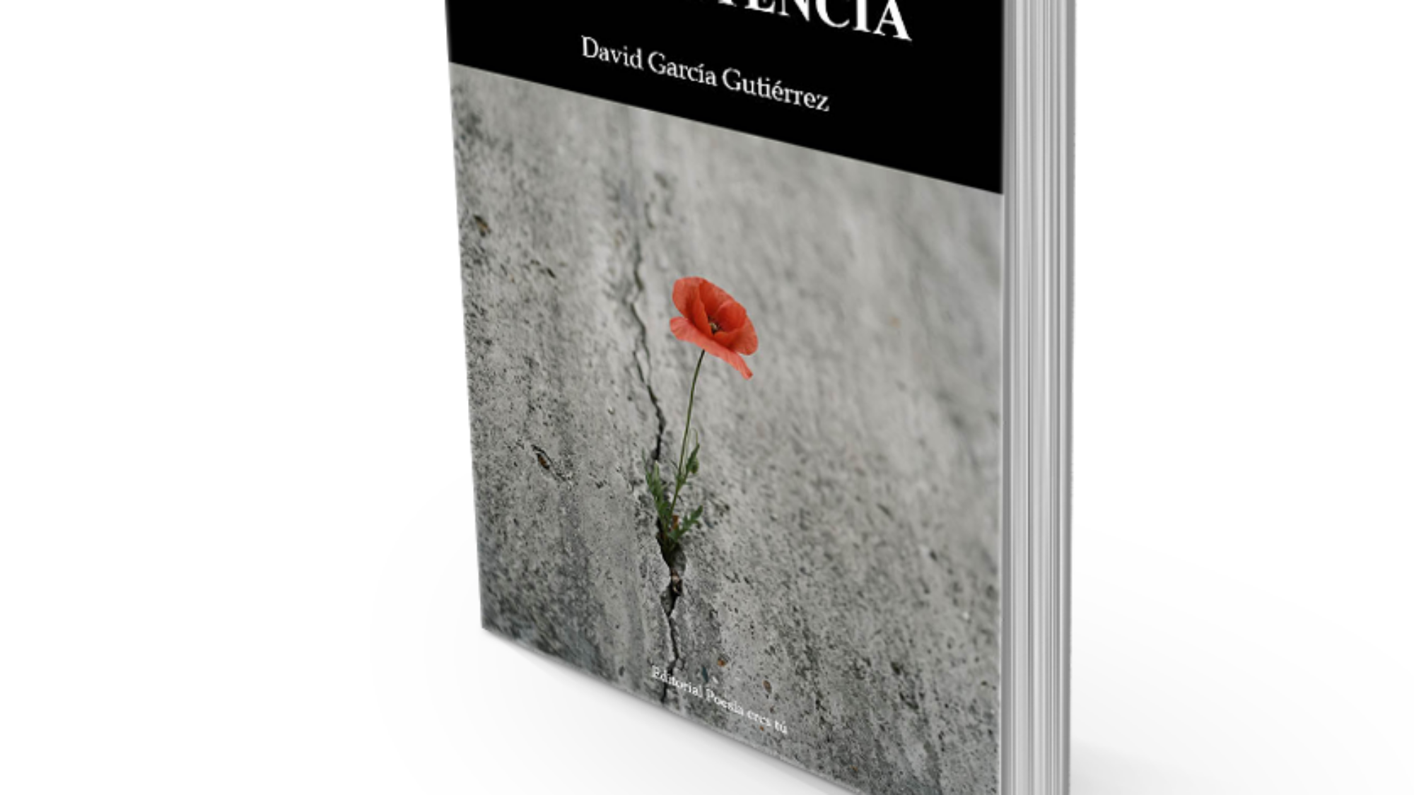 book5