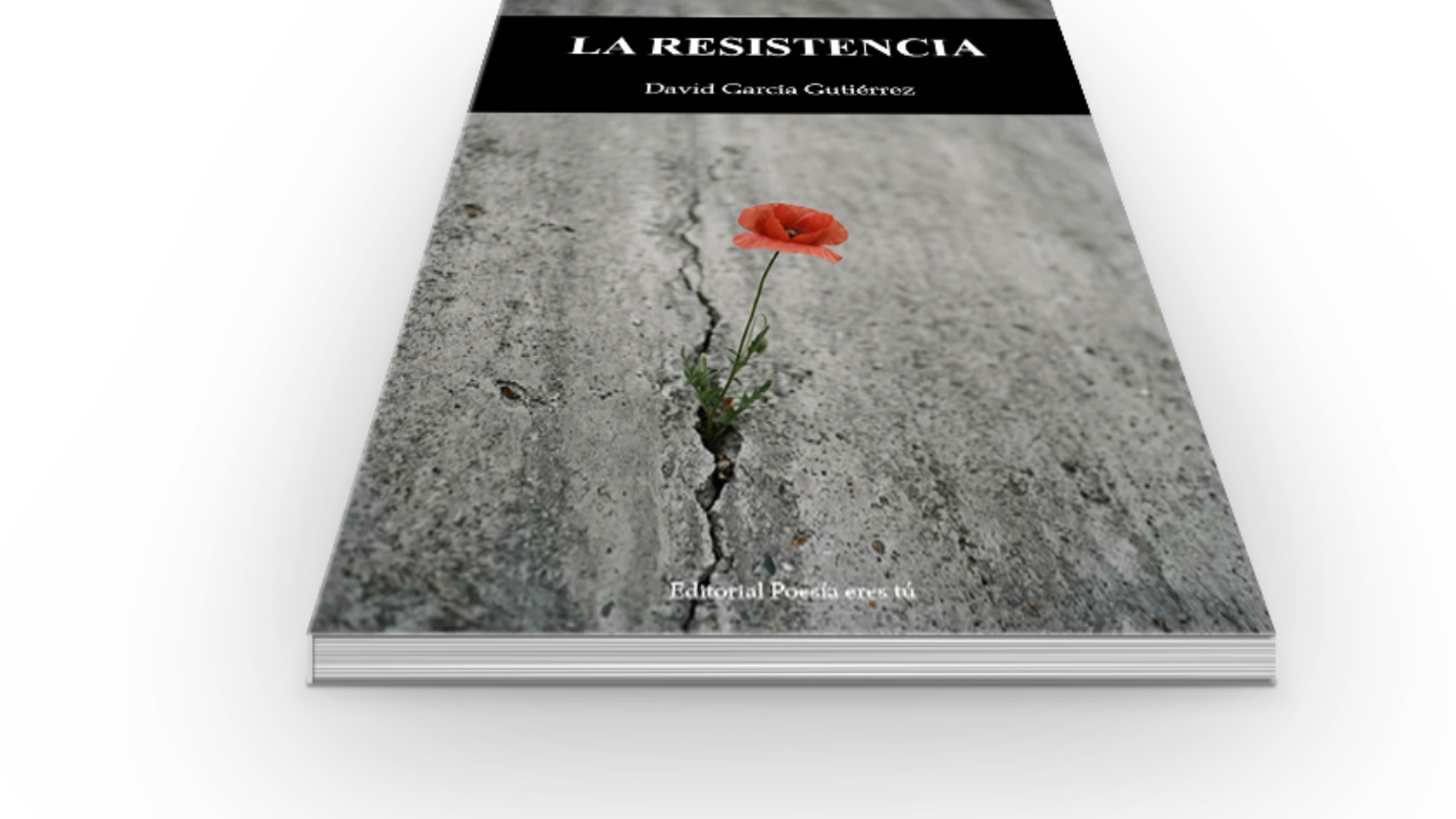 book6