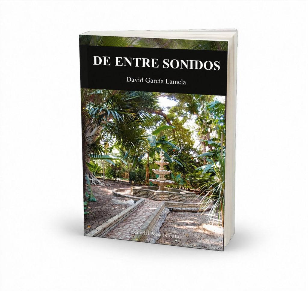 Mockup del libro De entre sonidos (2) – De entre sonidos, de David García Lamela