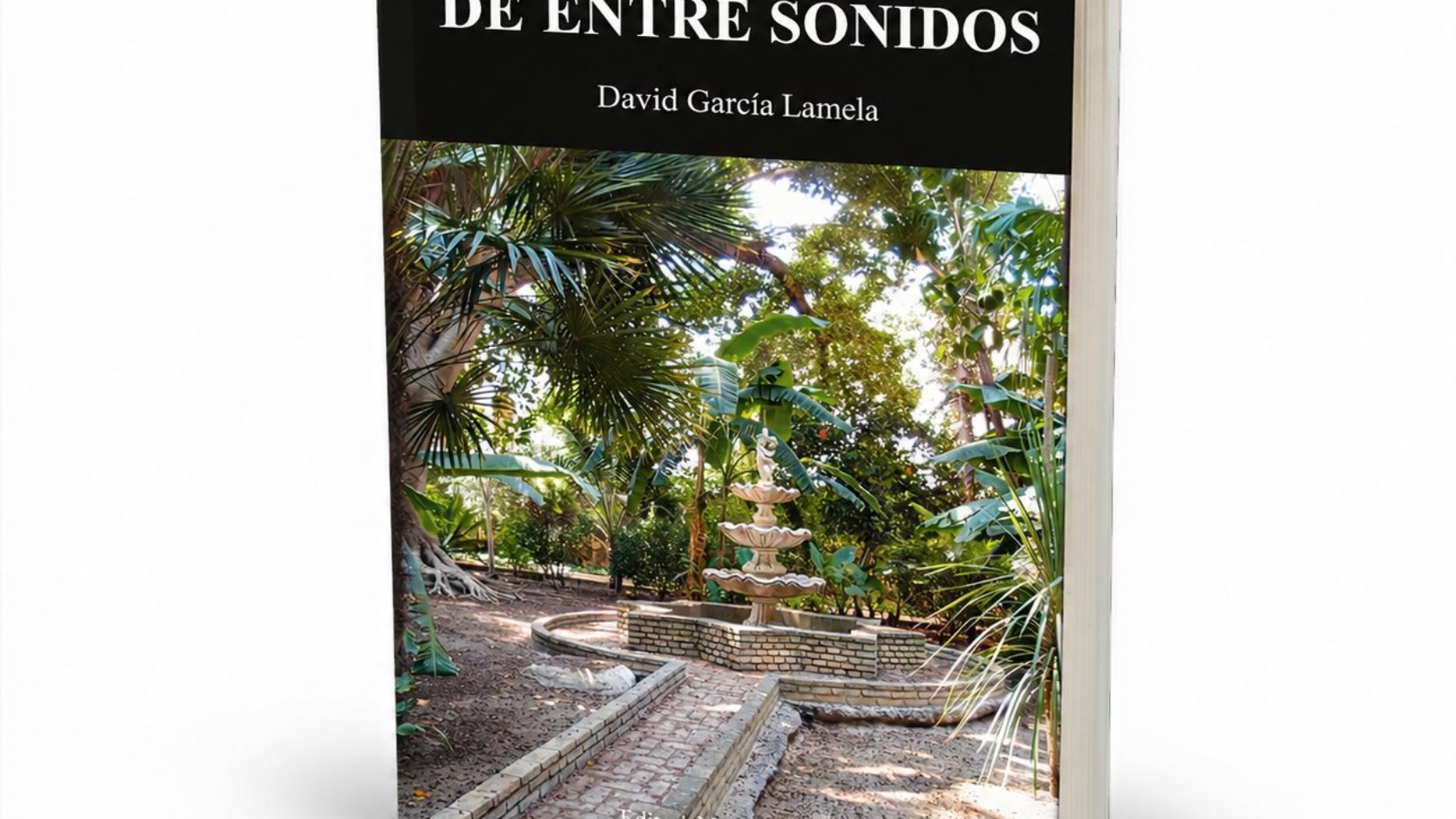 Mockup del libro De entre sonidos (2) – De entre sonidos, de David García Lamela