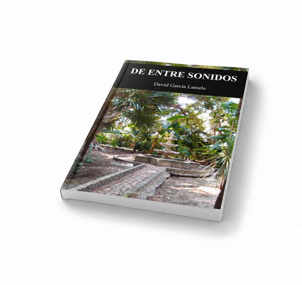 Mockup del libro De entre sonidos (4) – De entre sonidos, de David García Lamela