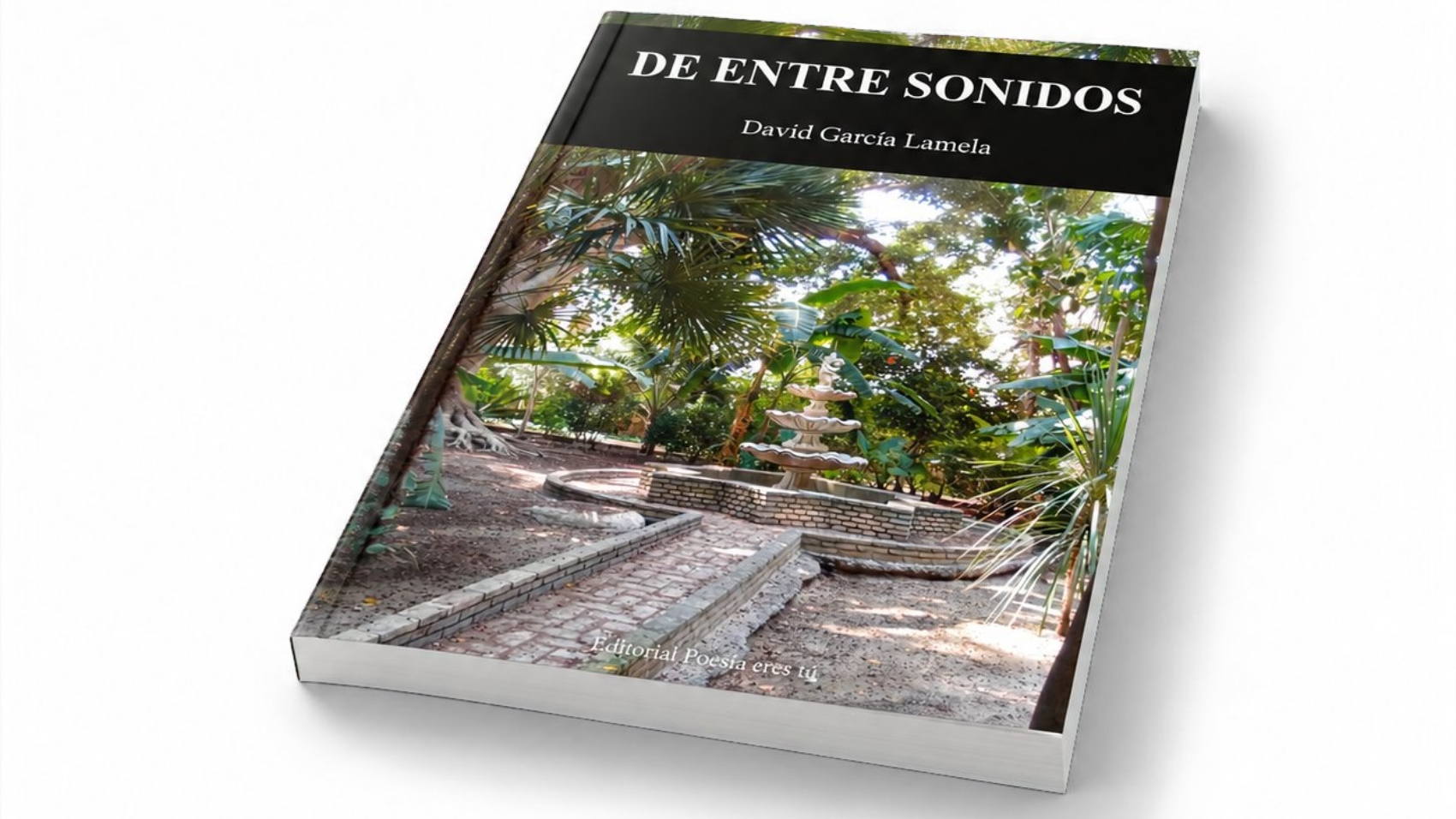 Mockup del libro De entre sonidos (4) – De entre sonidos, de David García Lamela