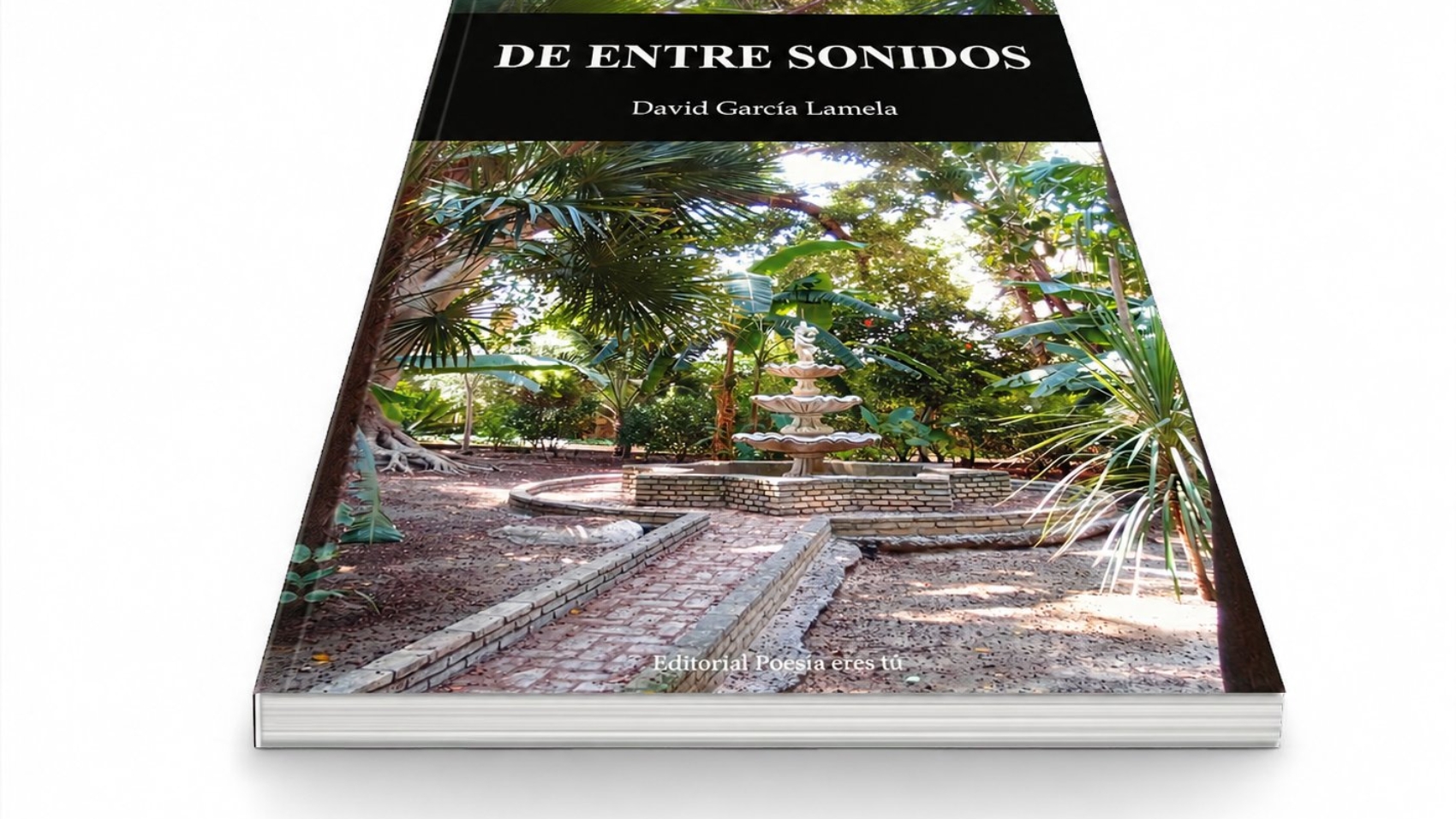 Mockup del libro De entre sonidos (6) – De entre sonidos, de David García Lamela