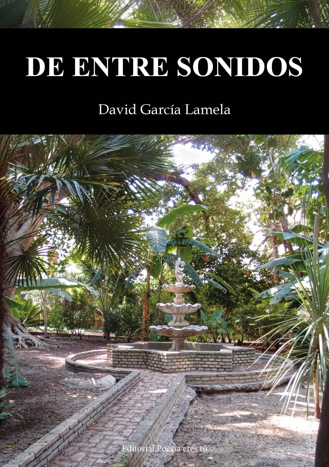 Cubierta de De entre sonidos – De entre sonidos, de David García Lamela