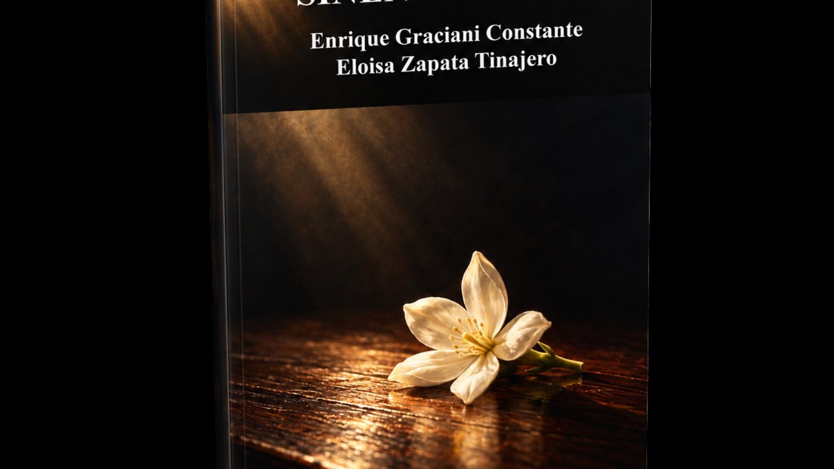 Mockup del libro Sinencuentro (2) – Sinencuentro, de Enrique Graciani Constante y Eloísa Zapata Tinajero
