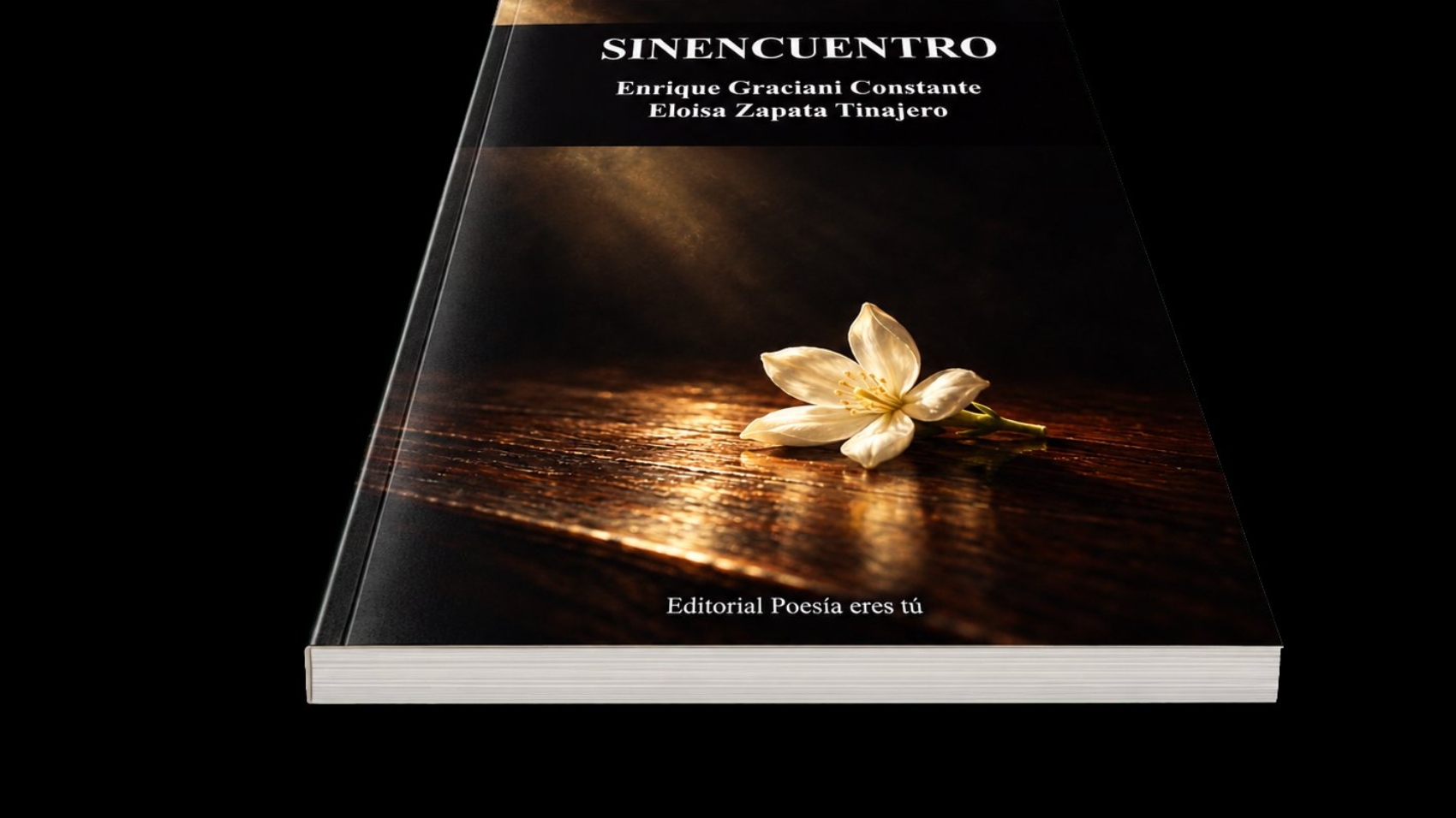 Mockup del libro Sinencuentro (6) – Sinencuentro, de Enrique Graciani Constante y Eloísa Zapata Tinajero