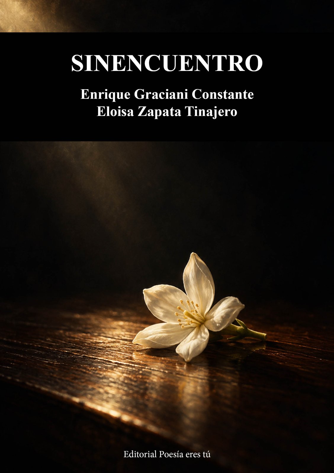 Cubierta de Sinencuentro – Sinencuentro, de Enrique Graciani Constante y Eloísa Zapata Tinajero