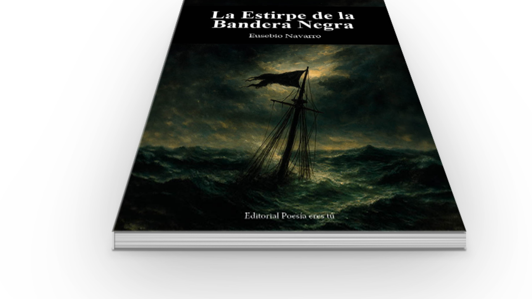 book6