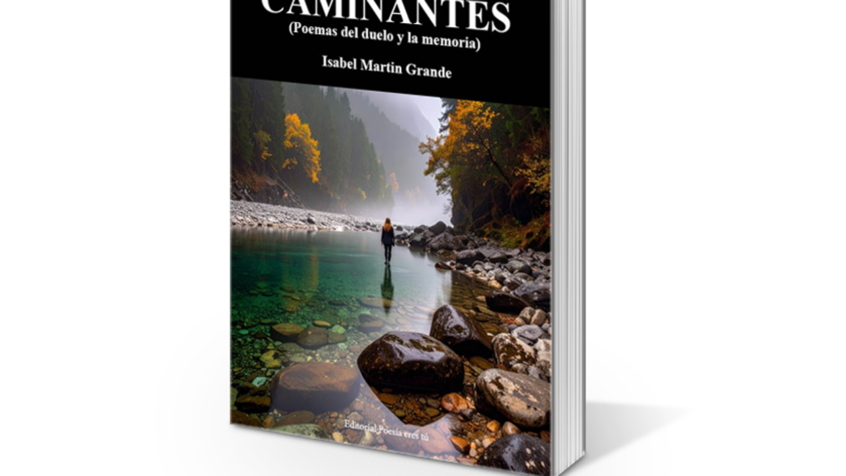 book1