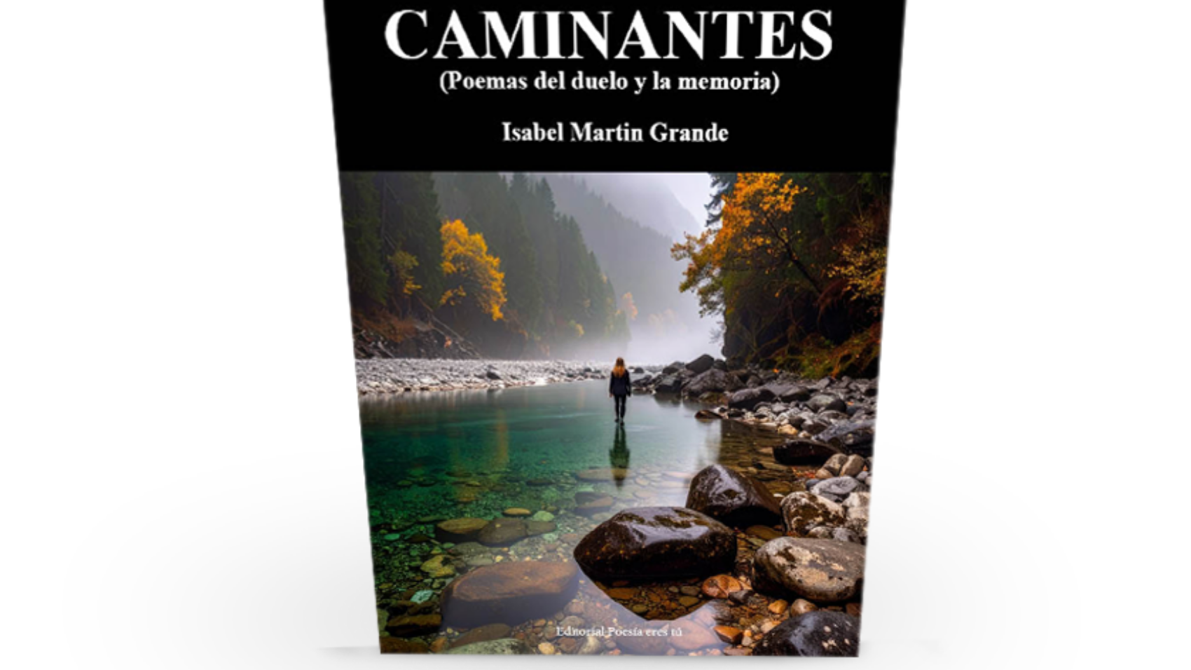 book2