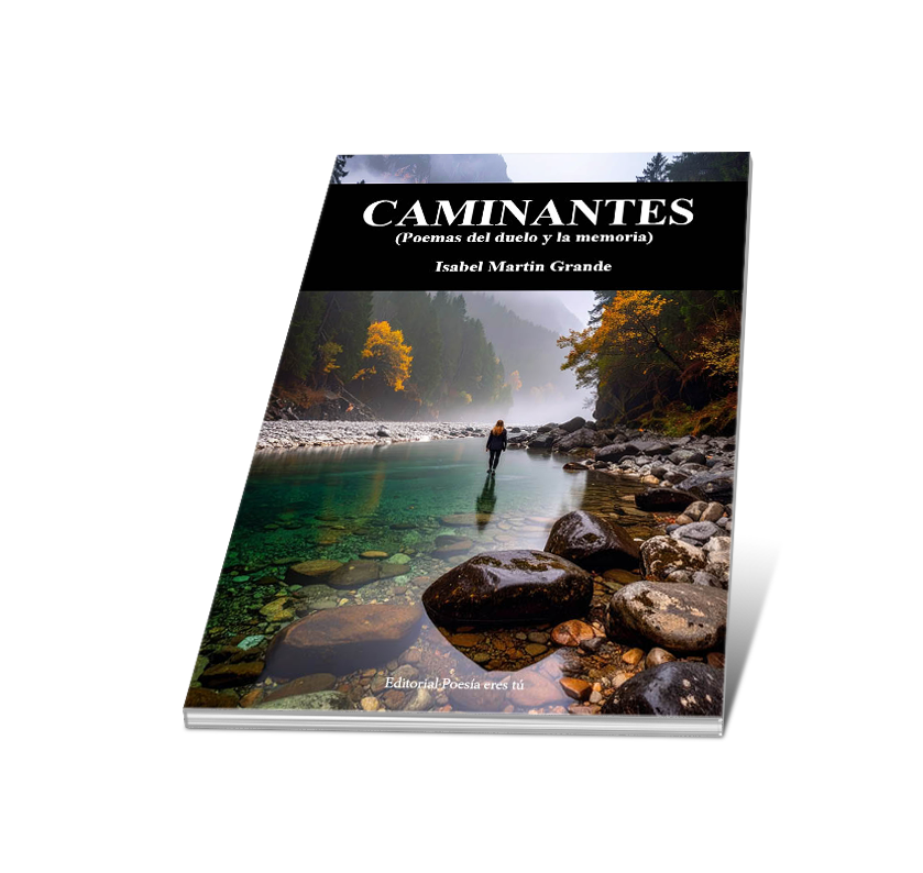 Técnicas literarias en «Caminantes»