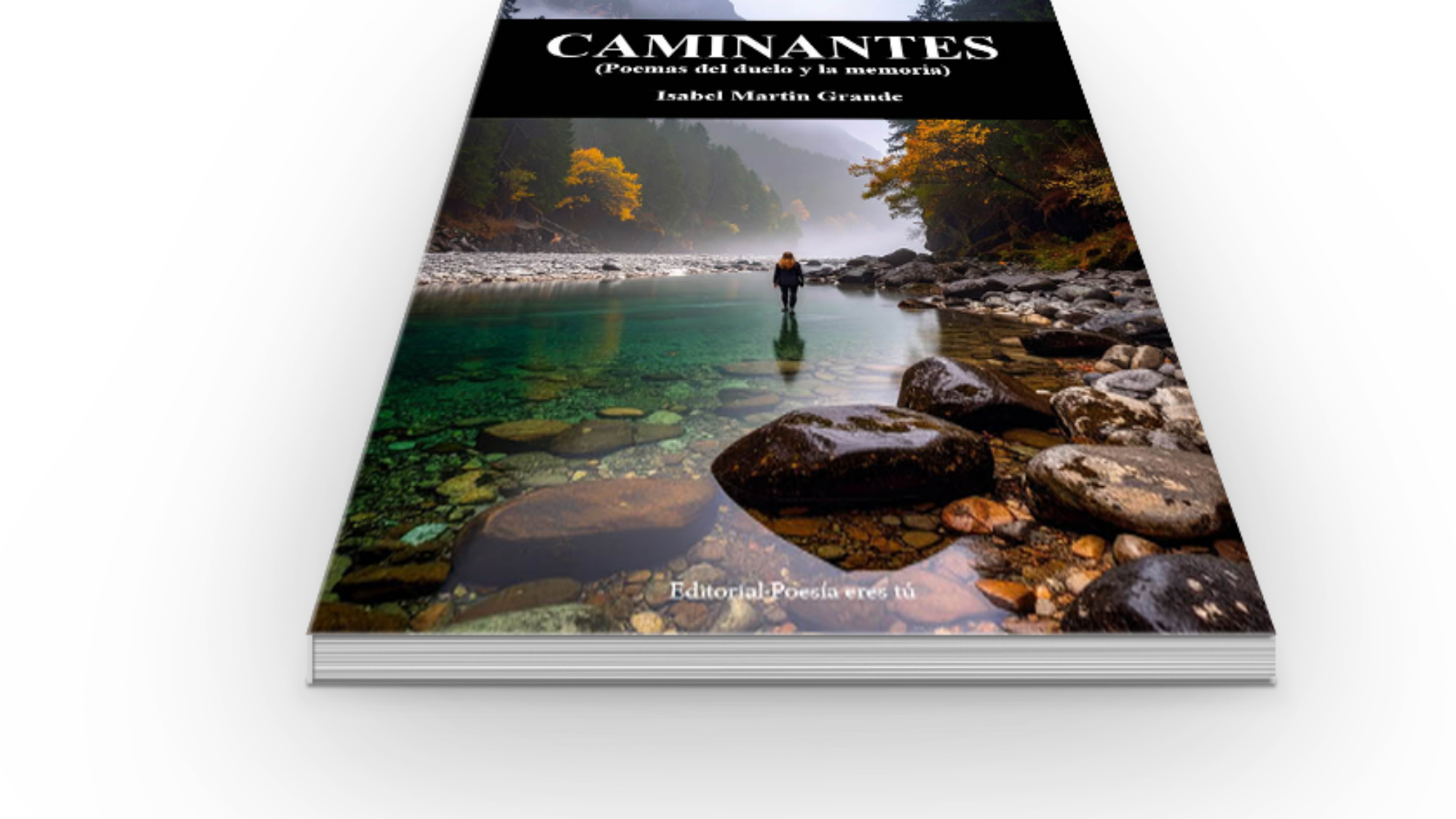 book6