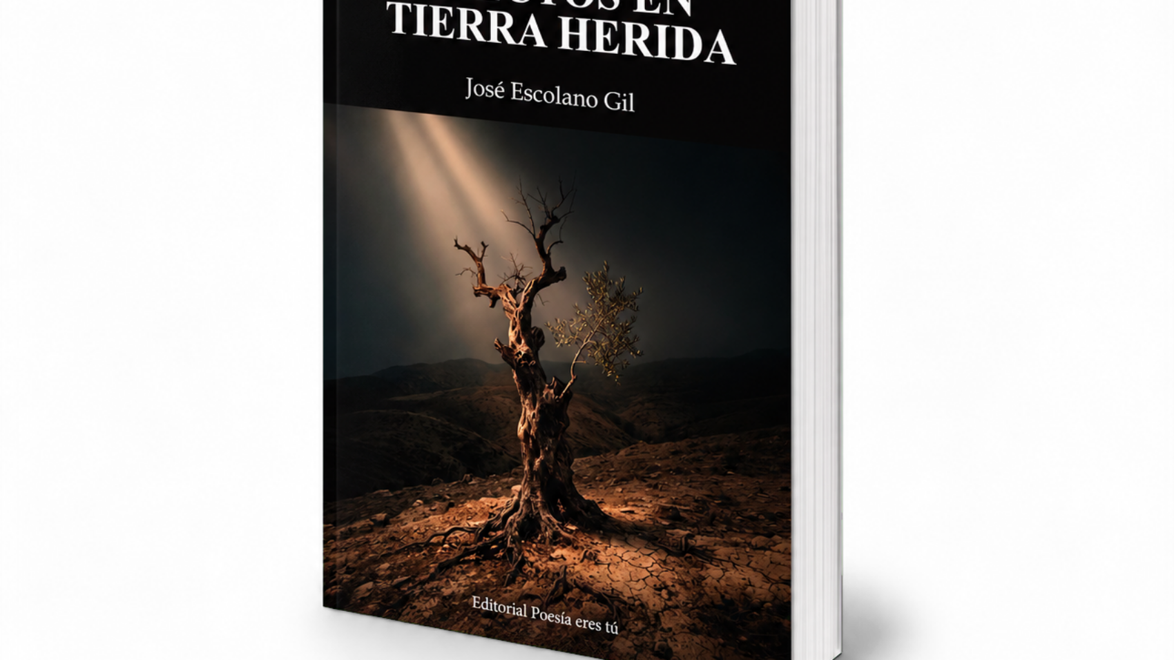 Mockup de Afectos en tierra herida (book1)