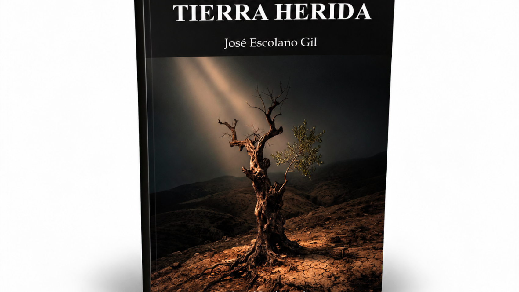 Mockup de Afectos en tierra herida (book2)