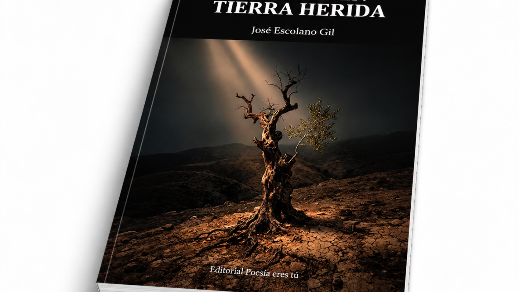 Mockup de Afectos en tierra herida (book3)