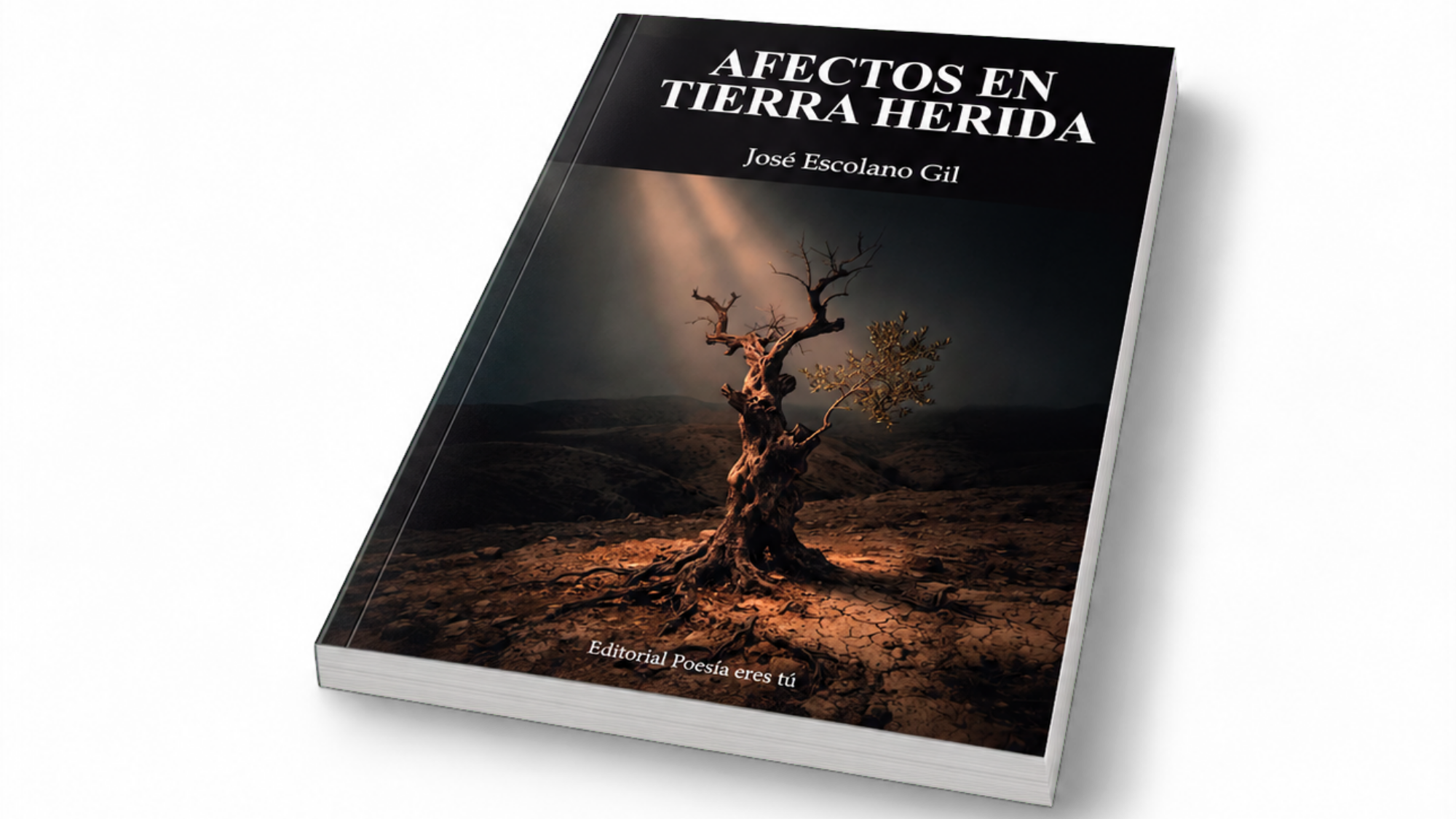 Mockup de Afectos en tierra herida (book4)