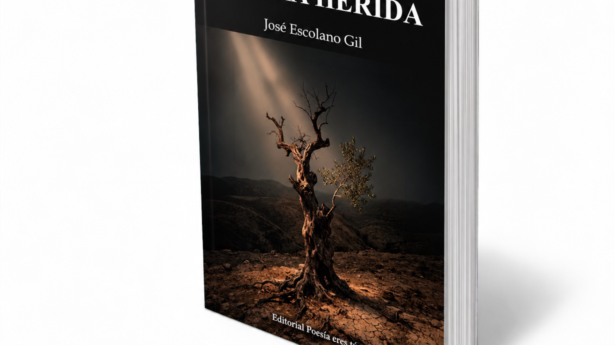 Mockup de Afectos en tierra herida (book5)