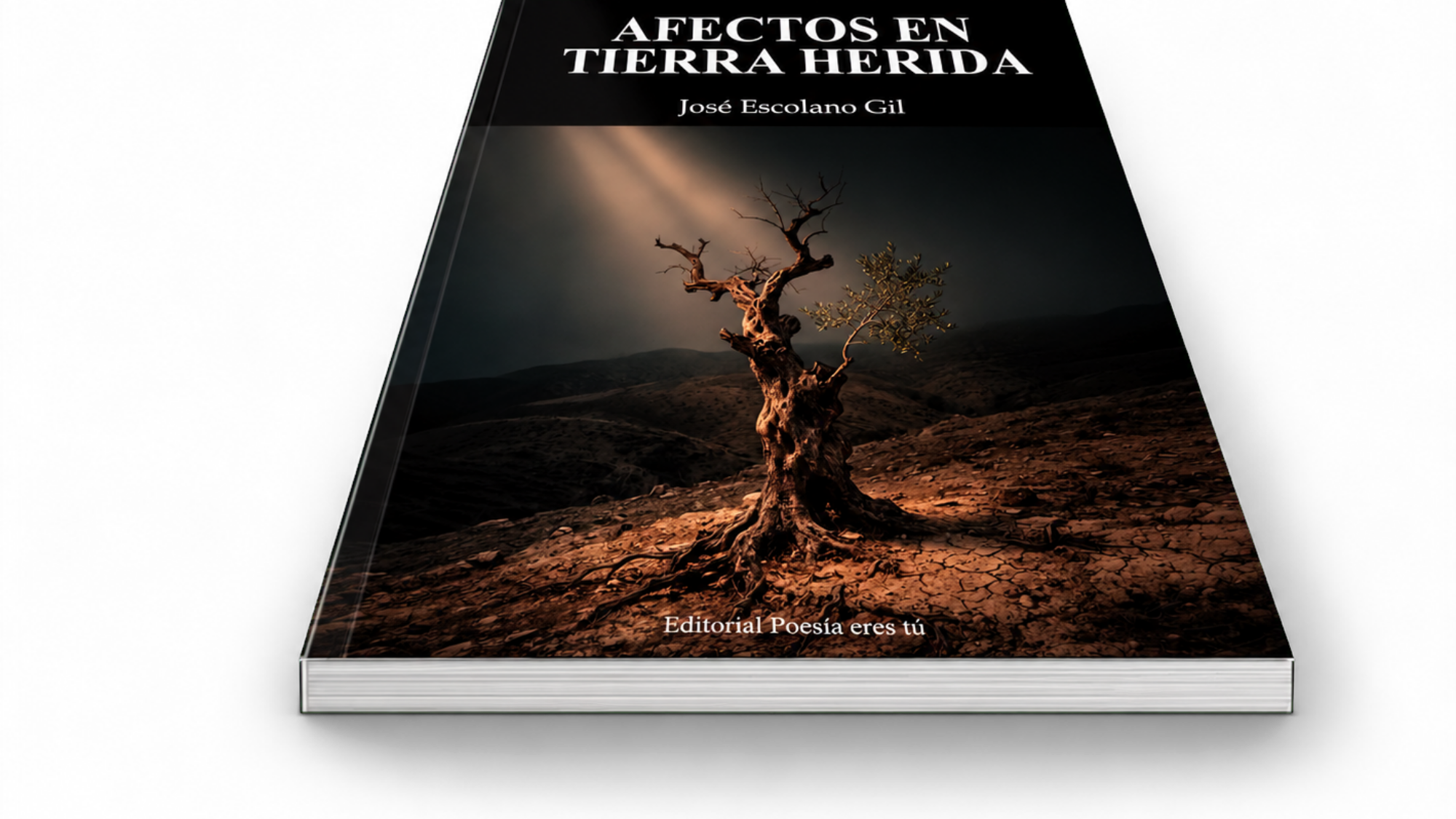 Mockup de Afectos en tierra herida (book6)