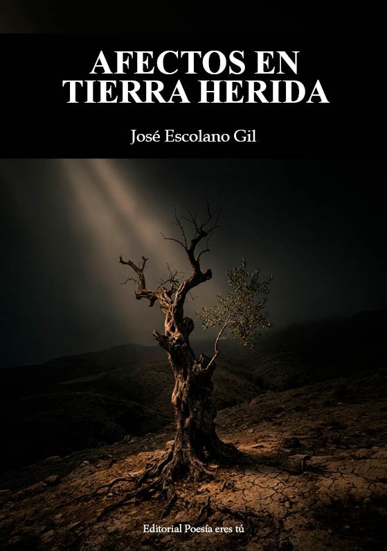 Portada de Afectos en tierra herida, de José Escolano Gil