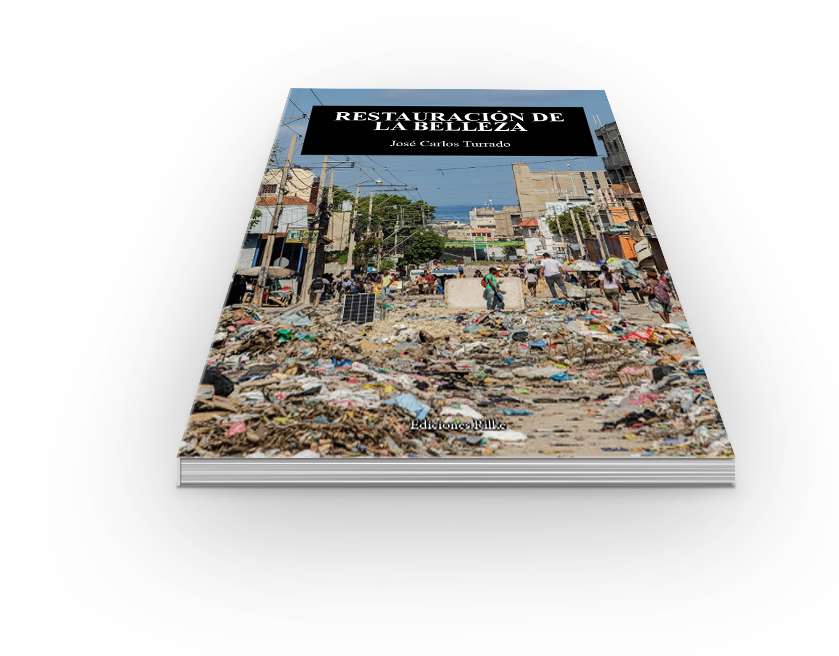 Análisis de los elementos destacados de Restauración de la Belleza de José Carlos Turrado: calidad literaria, voz autoral, metáforas sensoriales, sinestesia, anáforas, coherencia estructural y el soneto endecasílabo como arquitectura resistente del poemario.