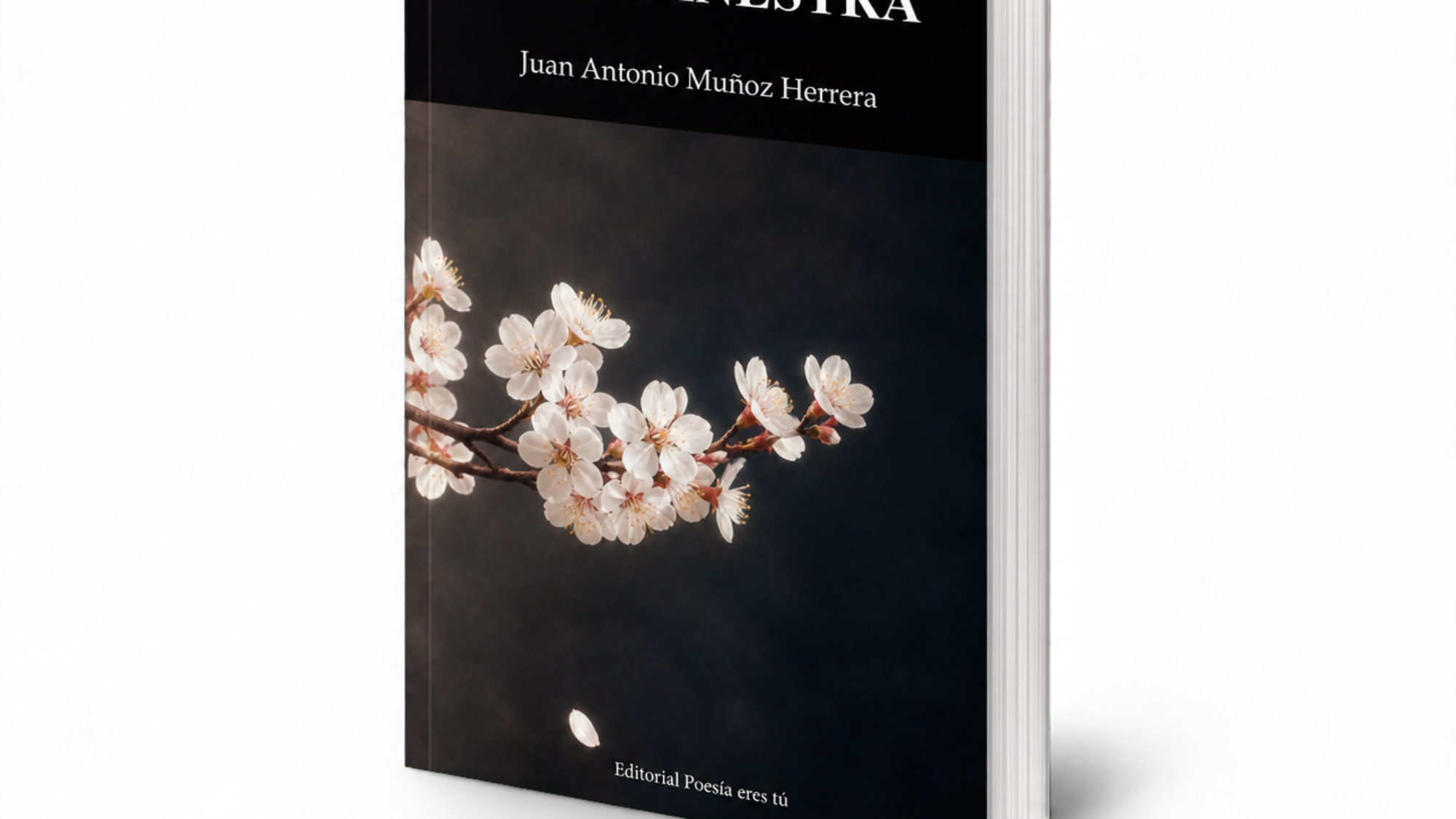 Mockup de Clitemnestra, de Juan Antonio Muñoz Herrera (vista de pie, ligeramente girado)
