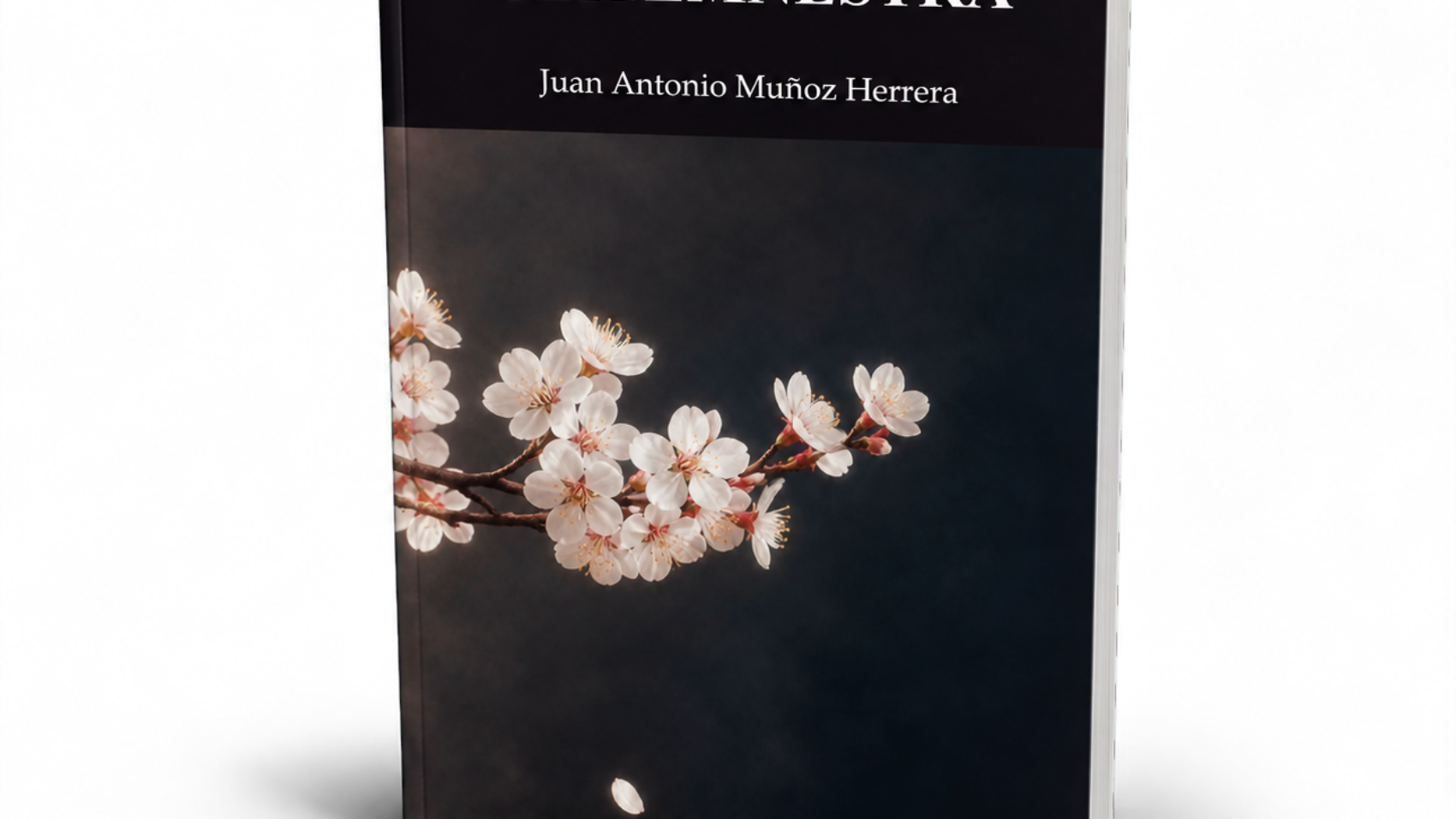Mockup de Clitemnestra, de Juan Antonio Muñoz Herrera (vista frontal con las páginas entreabiertas)