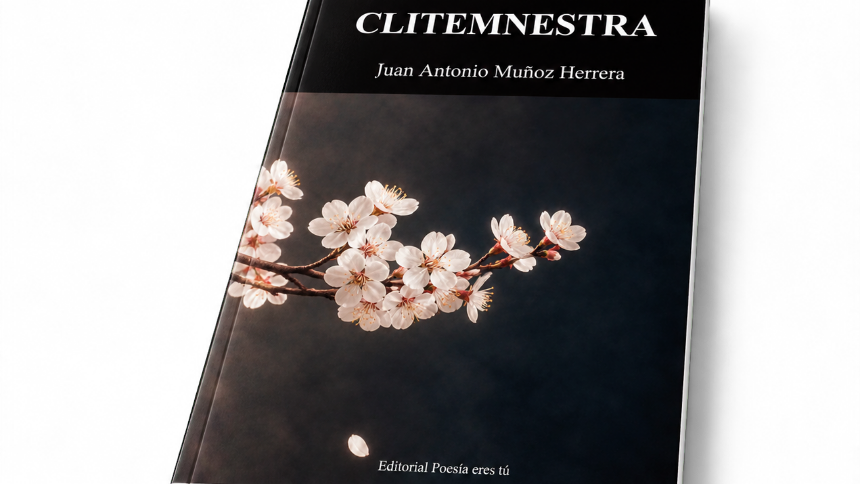 Mockup de Clitemnestra, de Juan Antonio Muñoz Herrera (vista inclinada en diagonal)