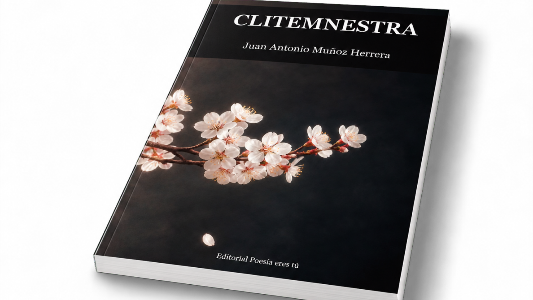 Mockup de Clitemnestra, de Juan Antonio Muñoz Herrera (vista tumbado en perspectiva)