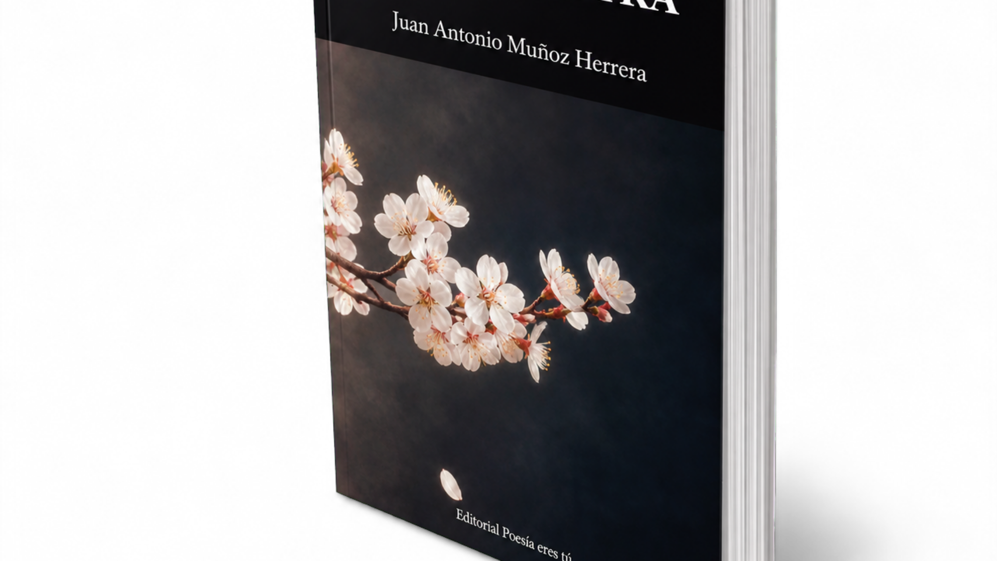 Mockup de Clitemnestra, de Juan Antonio Muñoz Herrera (vista de pie en perspectiva lateral)