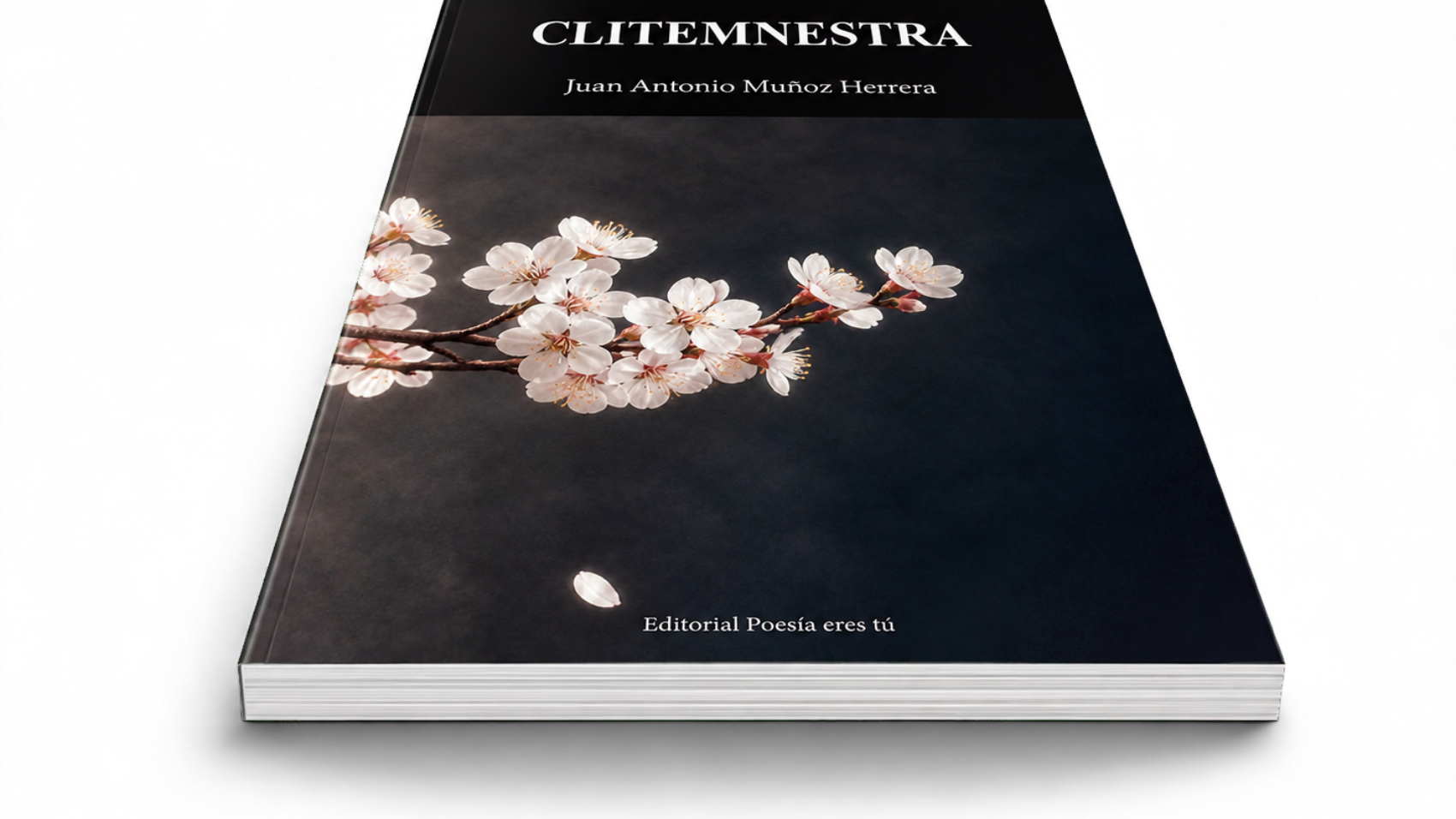 Mockup de Clitemnestra, de Juan Antonio Muñoz Herrera (vista horizontal, tumbado)