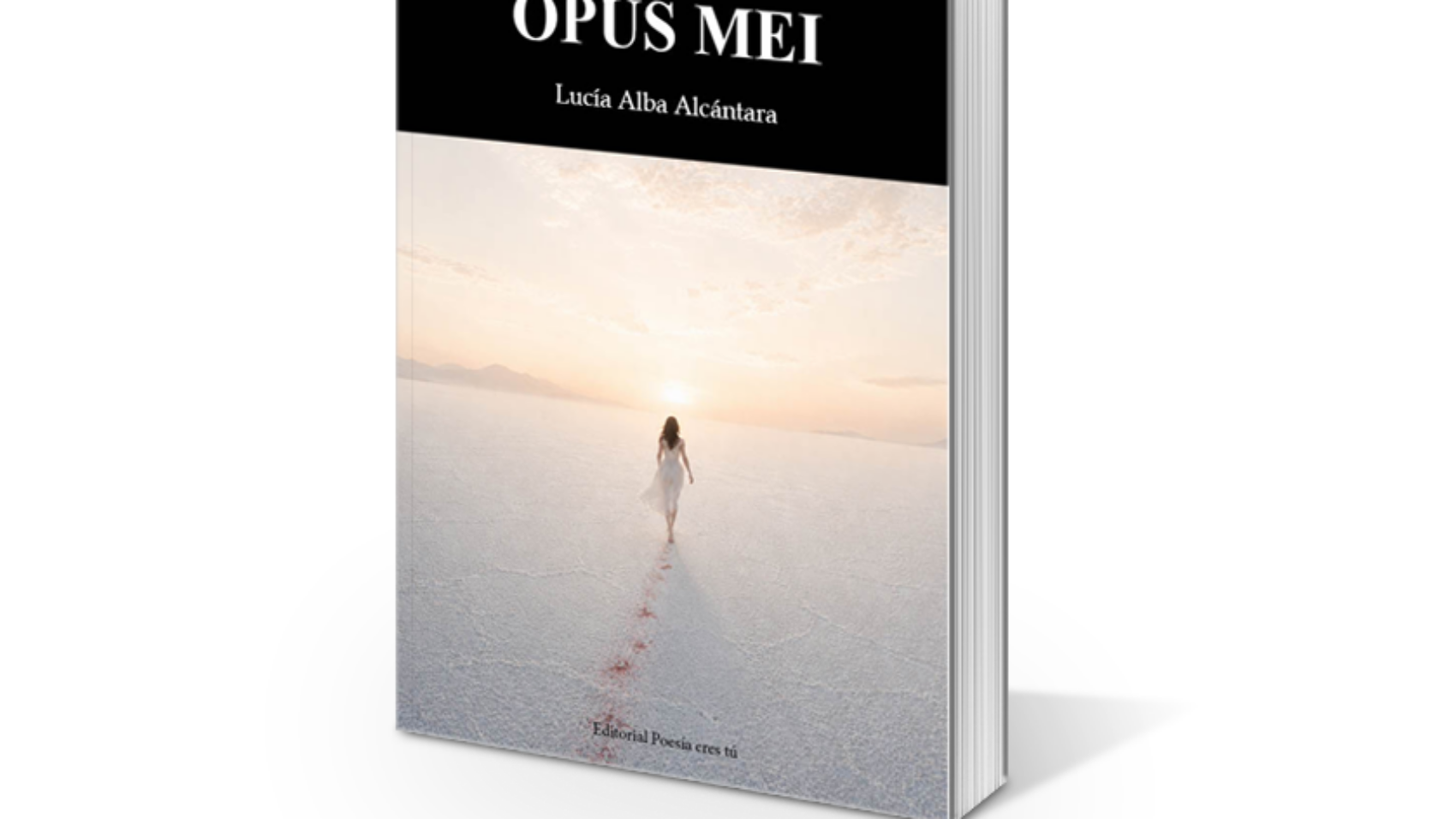 book1