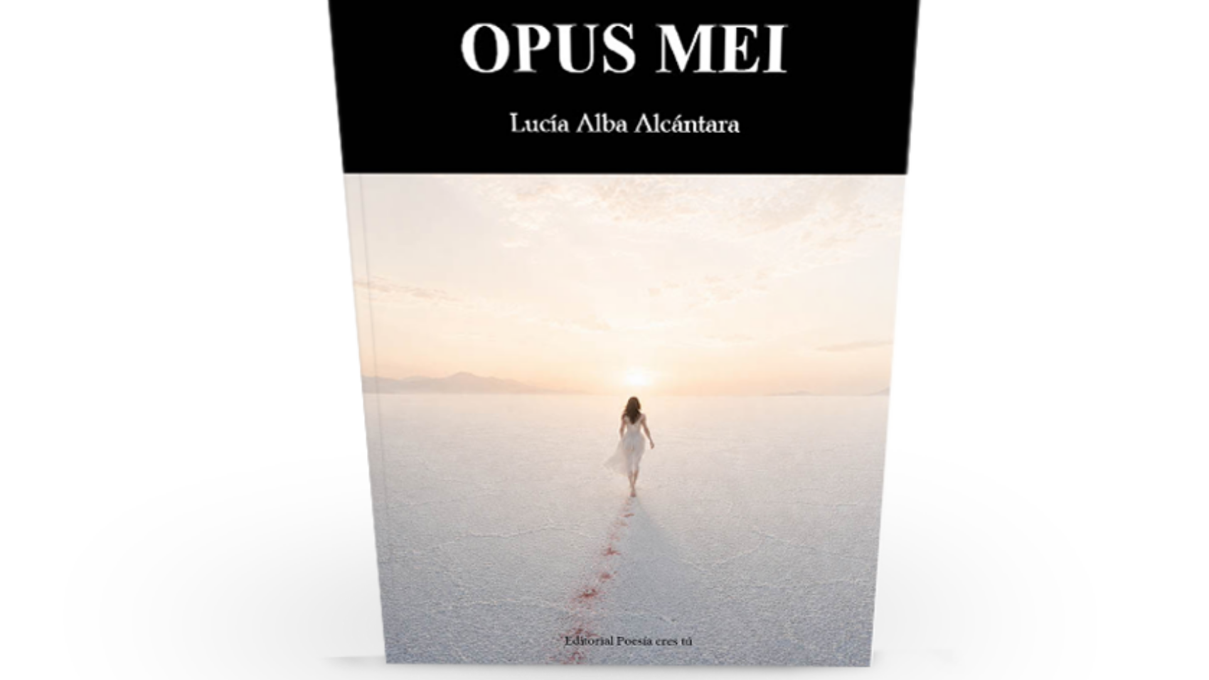 book2