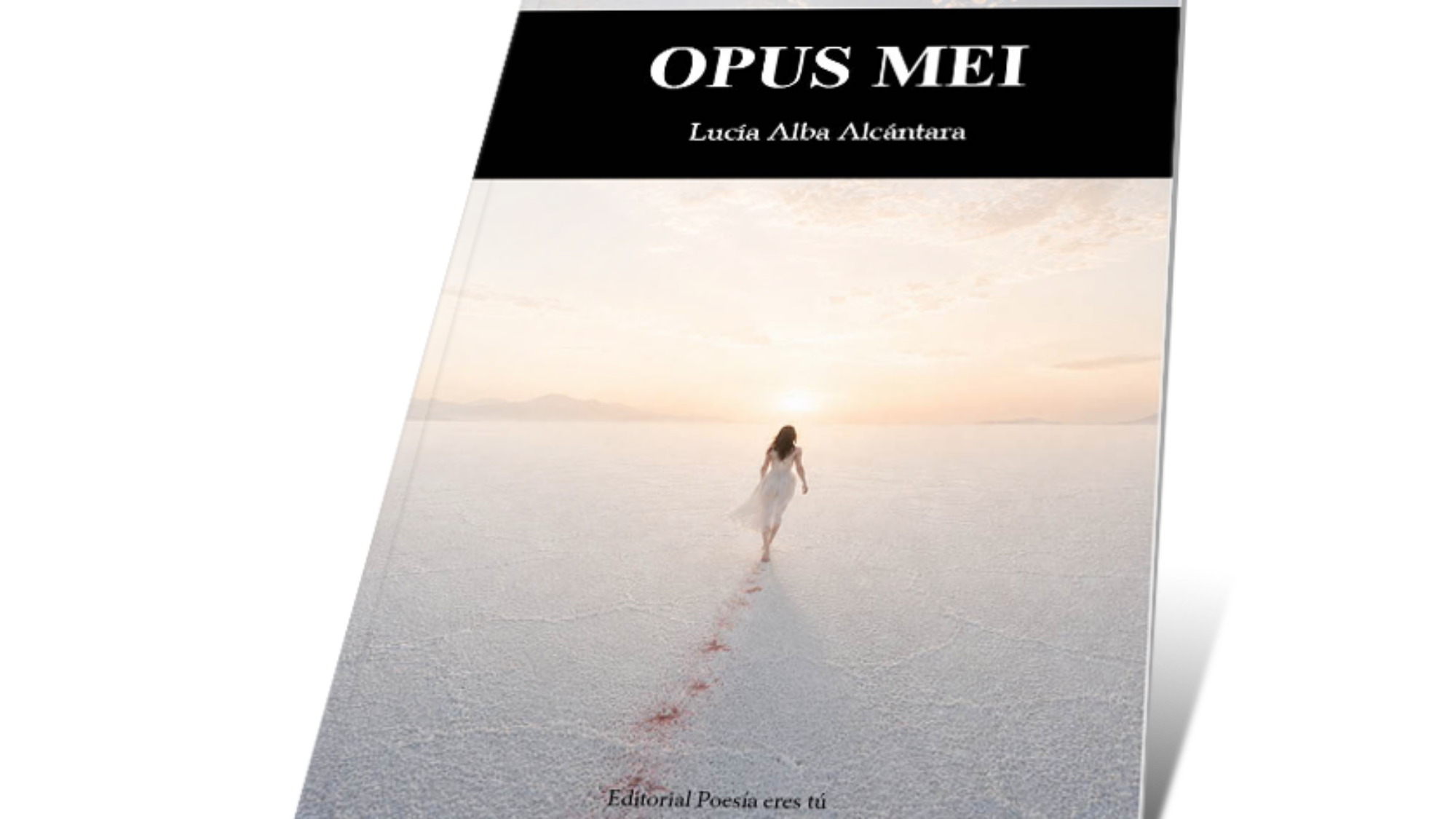 book3