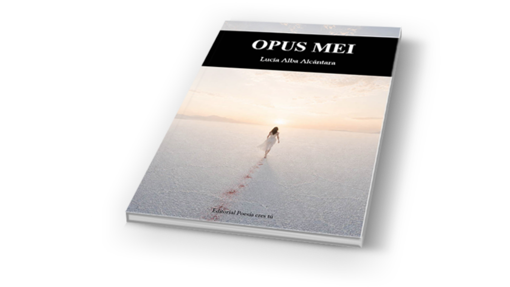 book4