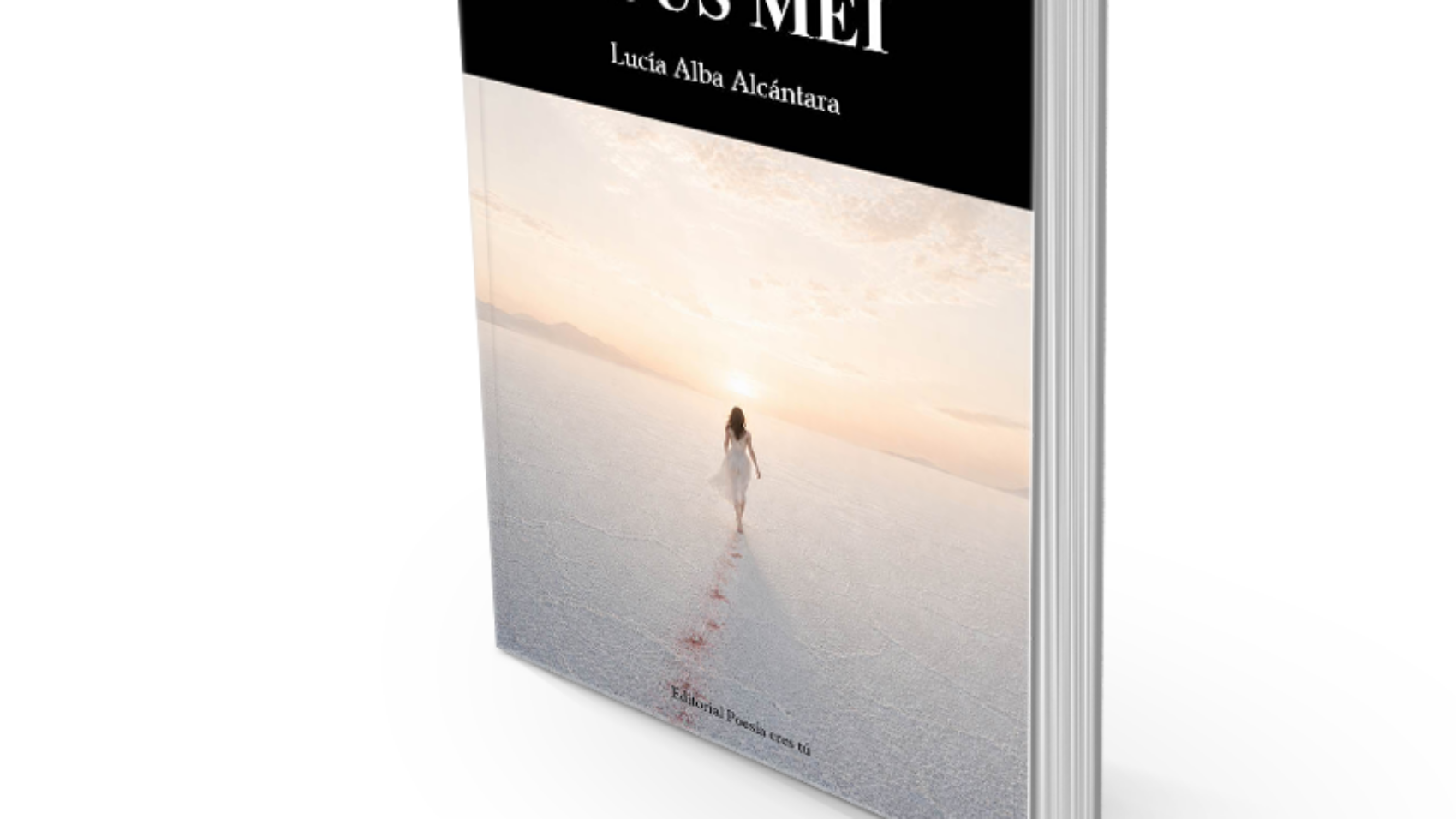 book5